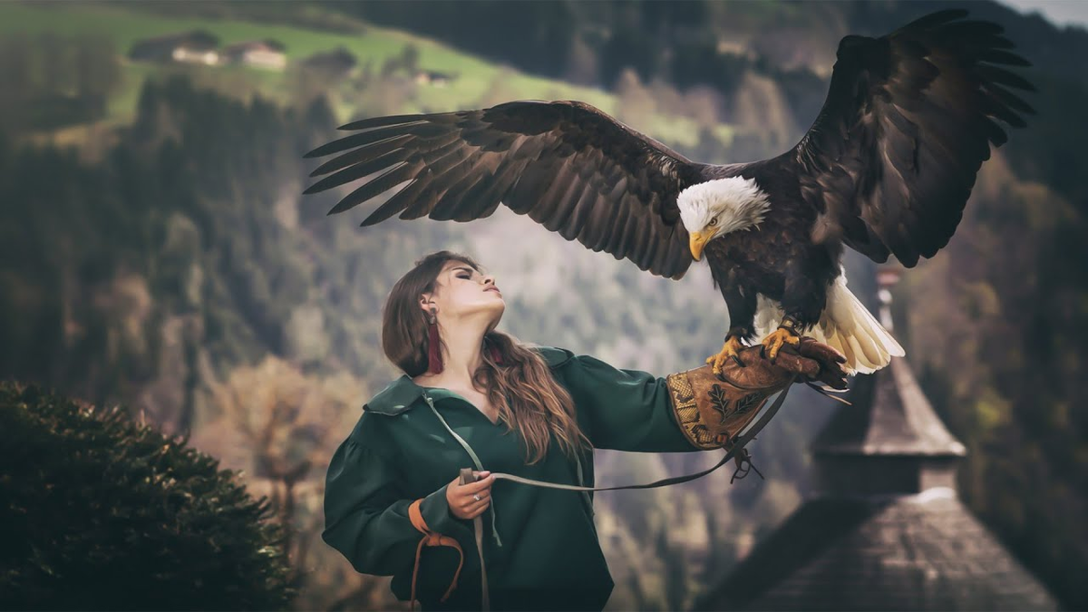 Bald Eagle: The Black Hole of the Bird World. A Super Predator with 400 Species in Its Diet! - Bald eagle, Predator birds, Animals, Wild animals, Yandex Zen, Yandex Zen (link), Longpost