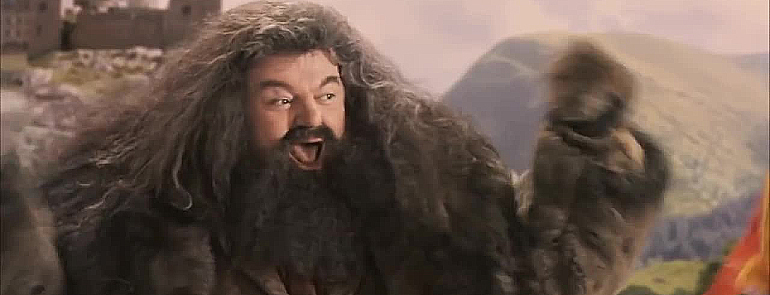 Is Hagrid really that simple? - Harry Potter, Hagrid, Фанфик