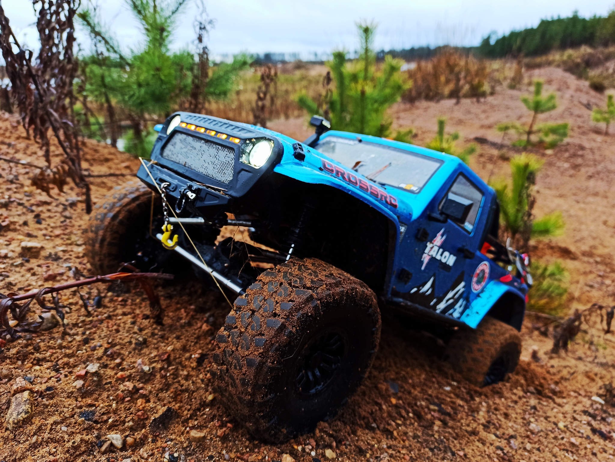 Crossrc Jeep Adventure RC EmoX Wrangler - My, Radio controlled models, Hobby, The photo, Longpost