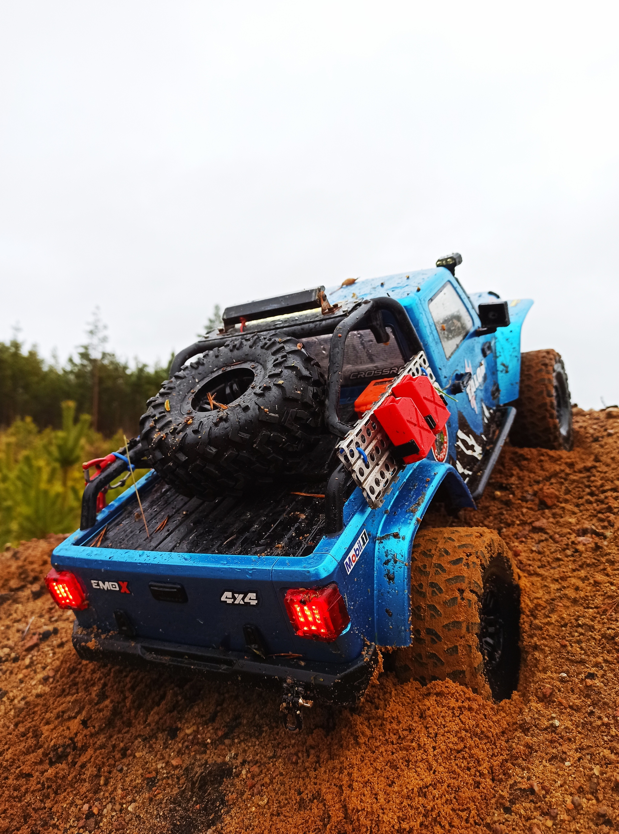 Crossrc Jeep Adventure RC EmoX Wrangler - My, Radio controlled models, Hobby, The photo, Longpost