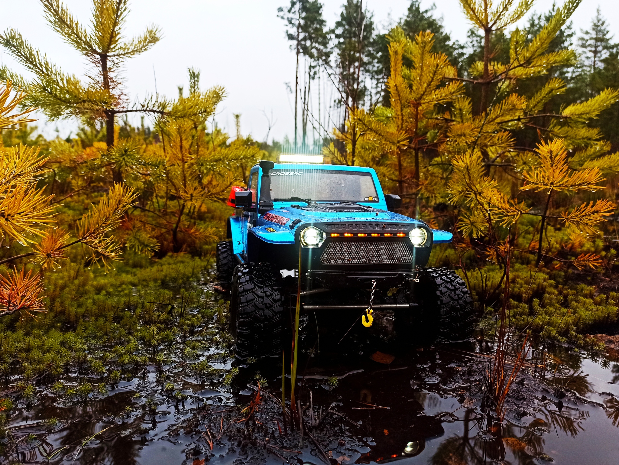 Crossrc Jeep Adventure RC EmoX Wrangler - My, Radio controlled models, Hobby, The photo, Longpost