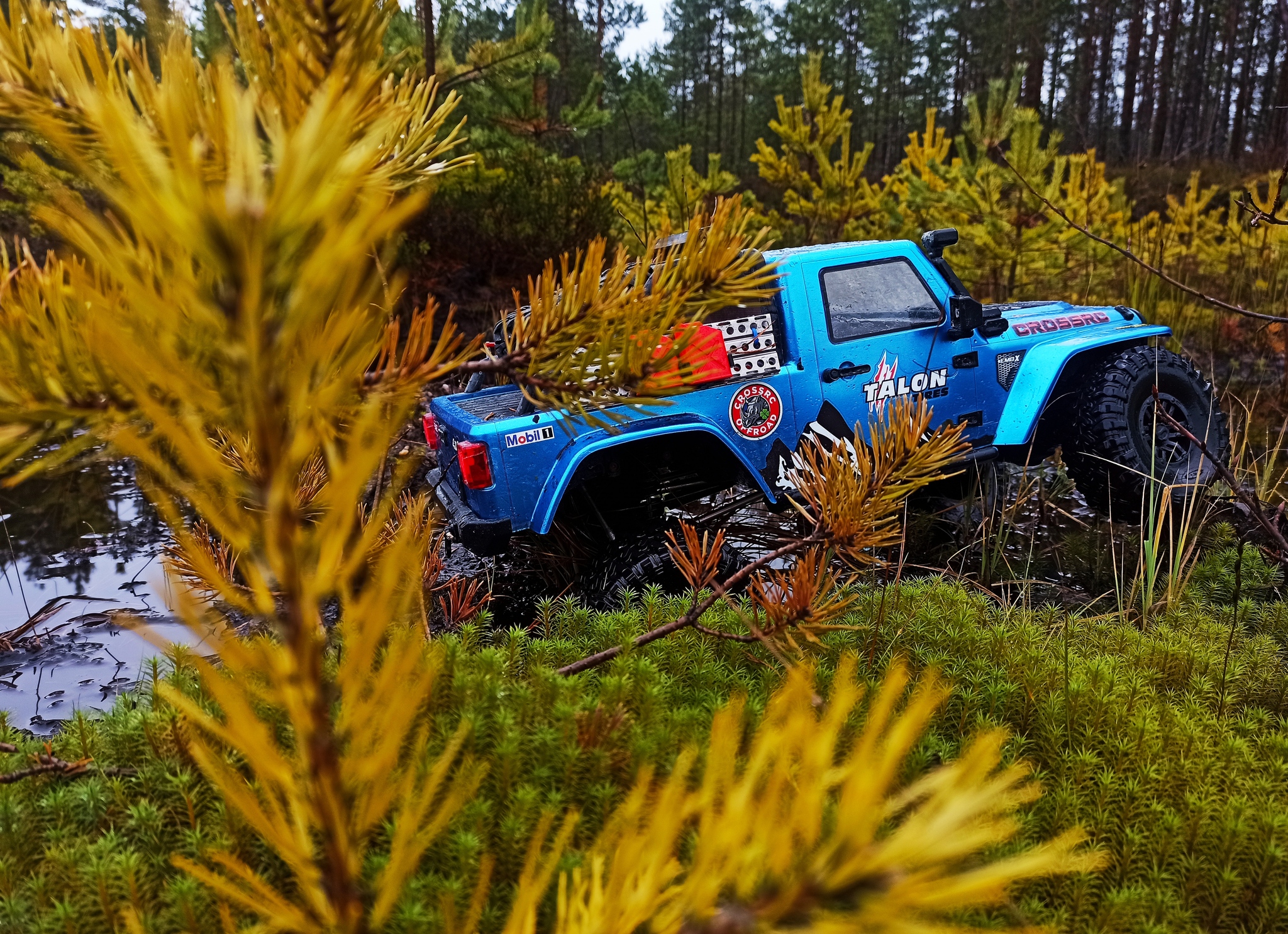 Crossrc Jeep Adventure RC EmoX Wrangler - My, Radio controlled models, Hobby, The photo, Longpost