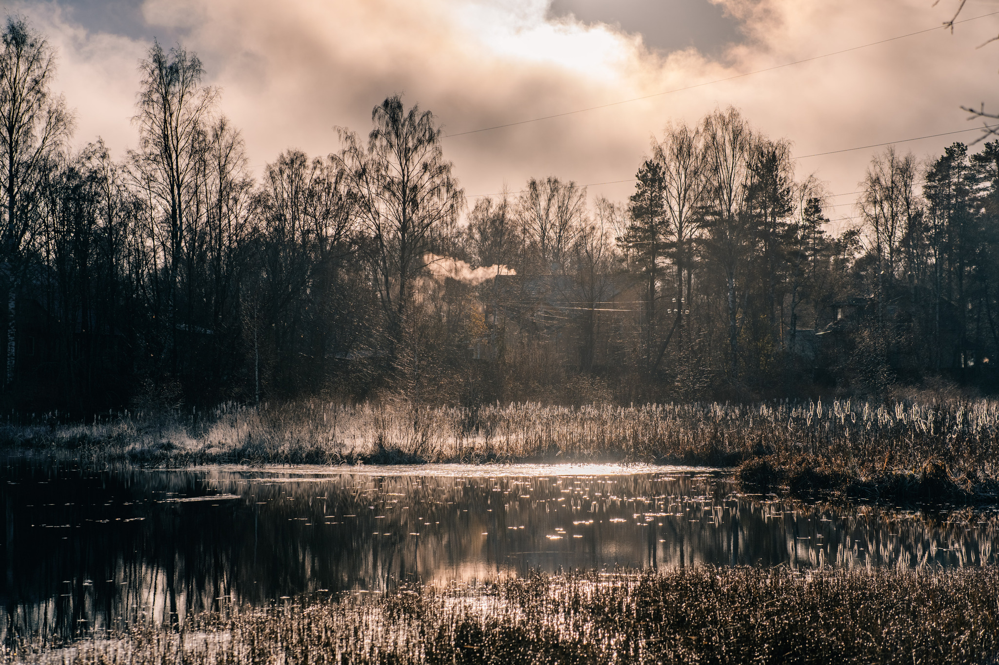 More about frosty autumn in Toksovo - My, The photo, Nature, Autumn, Frost, Toksovo, Swamp, Leningrad region, Longpost