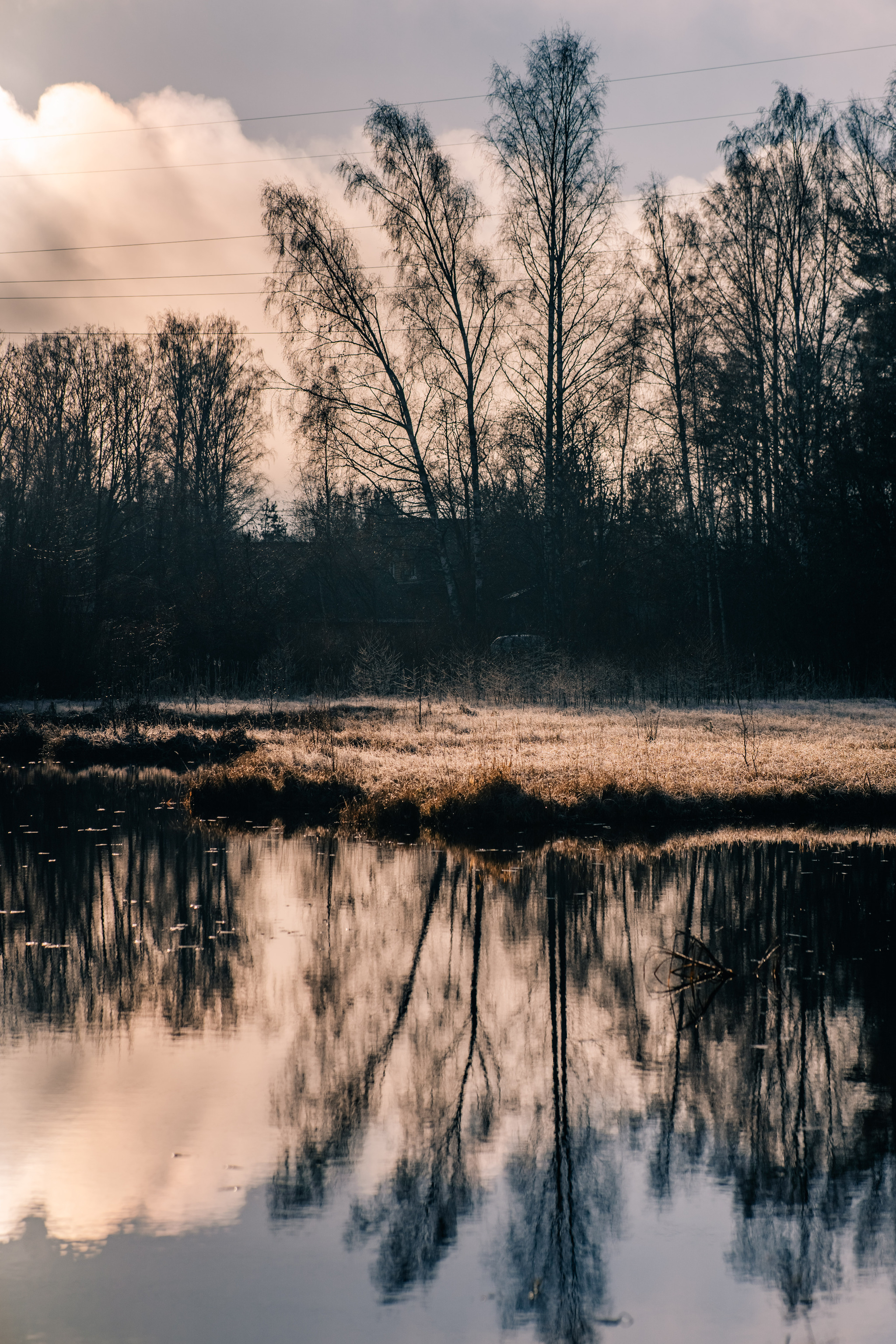 More about frosty autumn in Toksovo - My, The photo, Nature, Autumn, Frost, Toksovo, Swamp, Leningrad region, Longpost