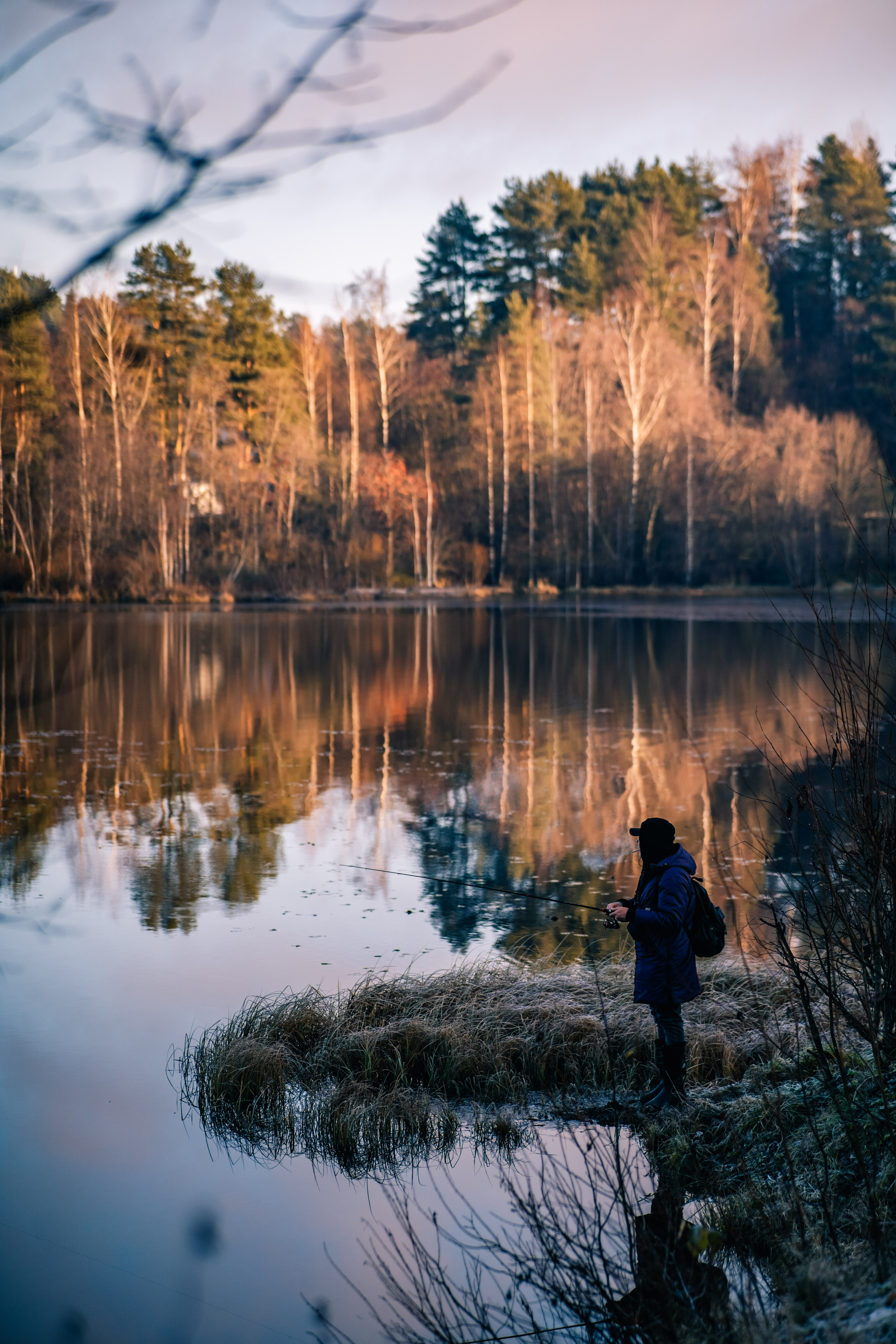 More about frosty autumn in Toksovo - My, The photo, Nature, Autumn, Frost, Toksovo, Swamp, Leningrad region, Longpost