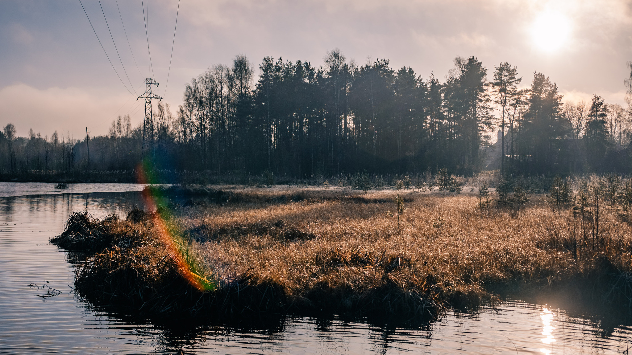 More about frosty autumn in Toksovo - My, The photo, Nature, Autumn, Frost, Toksovo, Swamp, Leningrad region, Longpost