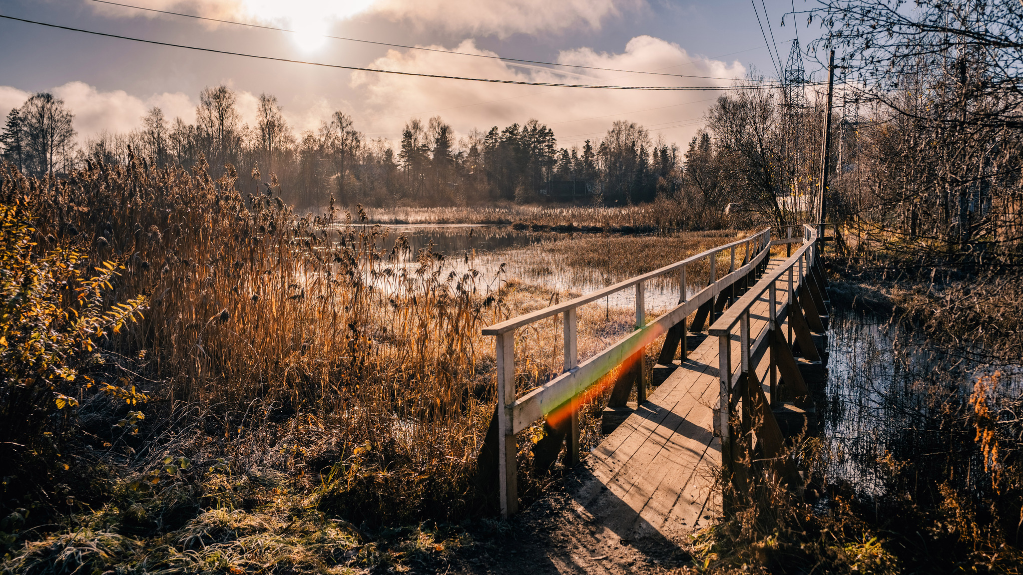 More about frosty autumn in Toksovo - My, The photo, Nature, Autumn, Frost, Toksovo, Swamp, Leningrad region, Longpost