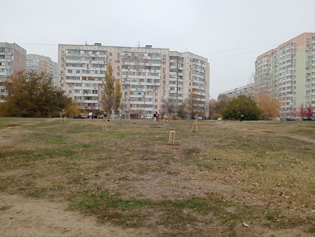 A clearing with trees was destroyed - My, Krasnodar, Let's save the trees, Vandalism, Tree, Green Zone, The park, Temple construction, Longpost, Negative