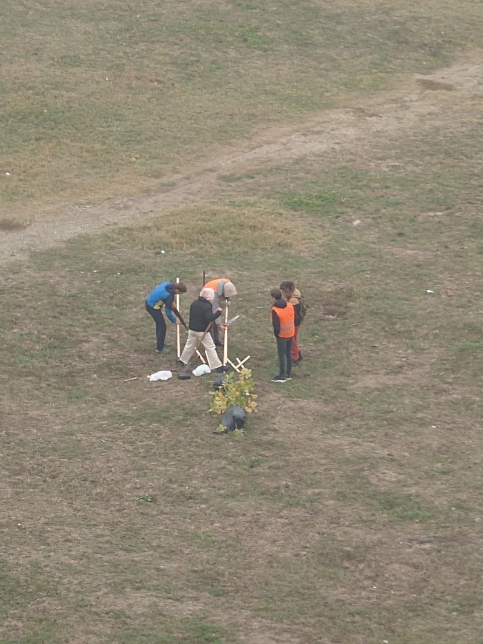 A clearing with trees was destroyed - My, Krasnodar, Let's save the trees, Vandalism, Tree, Green Zone, The park, Temple construction, Longpost, Negative