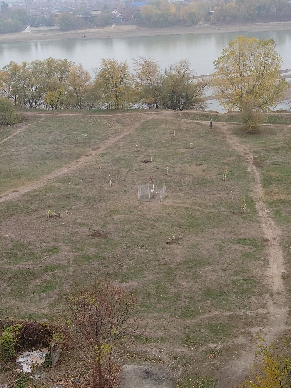 A clearing with trees was destroyed - My, Krasnodar, Let's save the trees, Vandalism, Tree, Green Zone, The park, Temple construction, Longpost, Negative