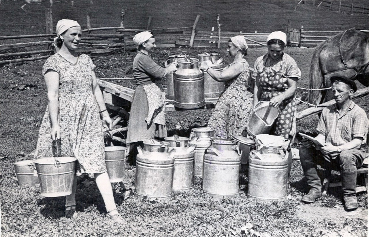 Milkmaids. It was hard work back then. - Milkmaid, Cow, the USSR, Work, Milk, Made in USSR, Childhood in the USSR, Profession, Childhood memories, 50th, 60th, 70th, 80-е, Retro, Telegram (link), Longpost