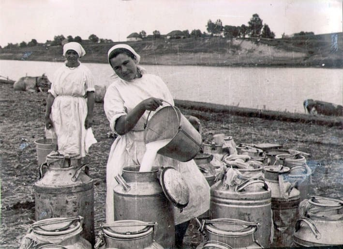 Milkmaids. It was hard work back then. - Milkmaid, Cow, the USSR, Work, Milk, Made in USSR, Childhood in the USSR, Profession, Childhood memories, 50th, 60th, 70th, 80-е, Retro, Telegram (link), Longpost