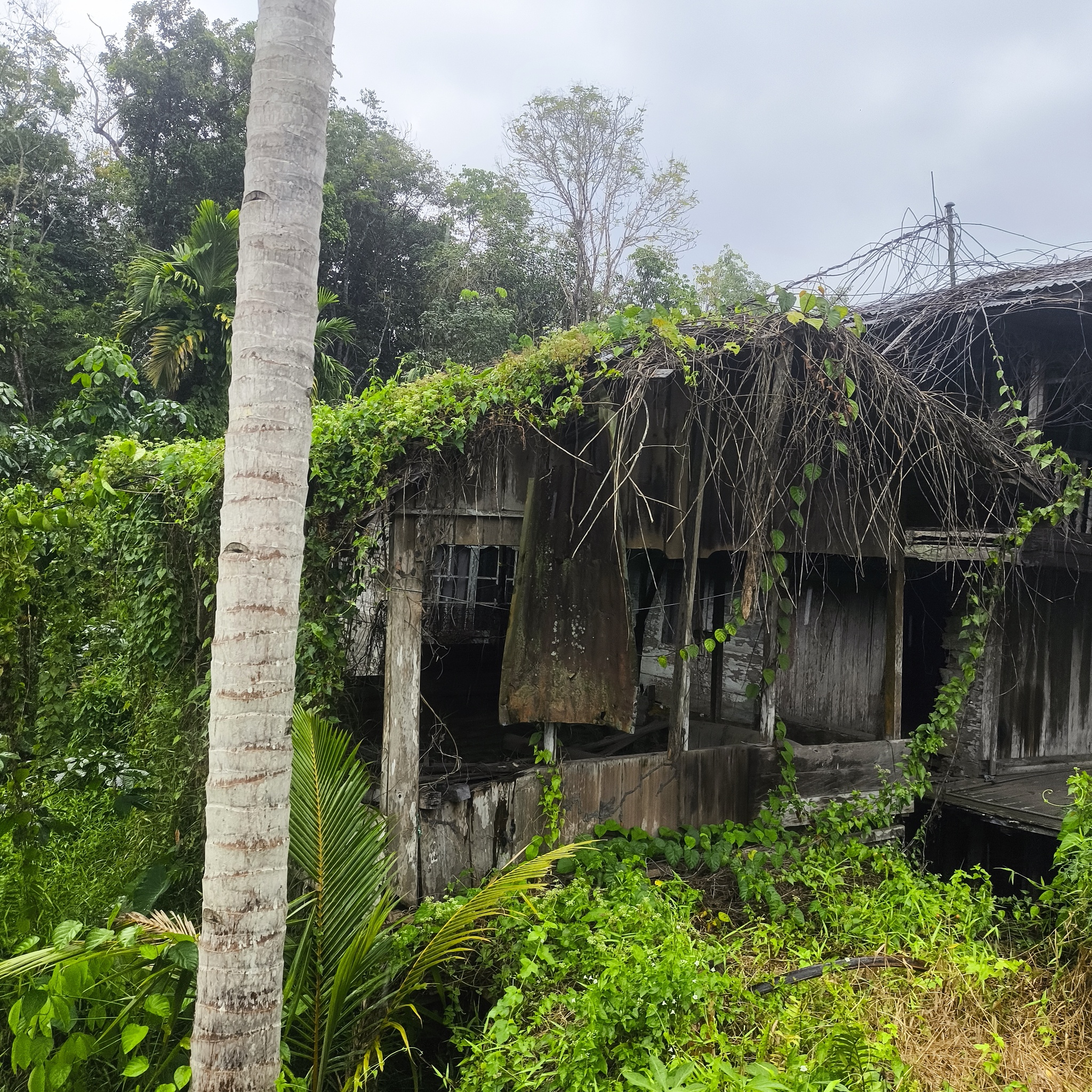 Melanesia Travel Diary. Indonesia. Day 142. Kalimantan - My, Drive, Travels, Informative, Around the world, Hitch-hiking, Life stories, Diary, Indonesia, Kalimantan, Religion, Video, Longpost