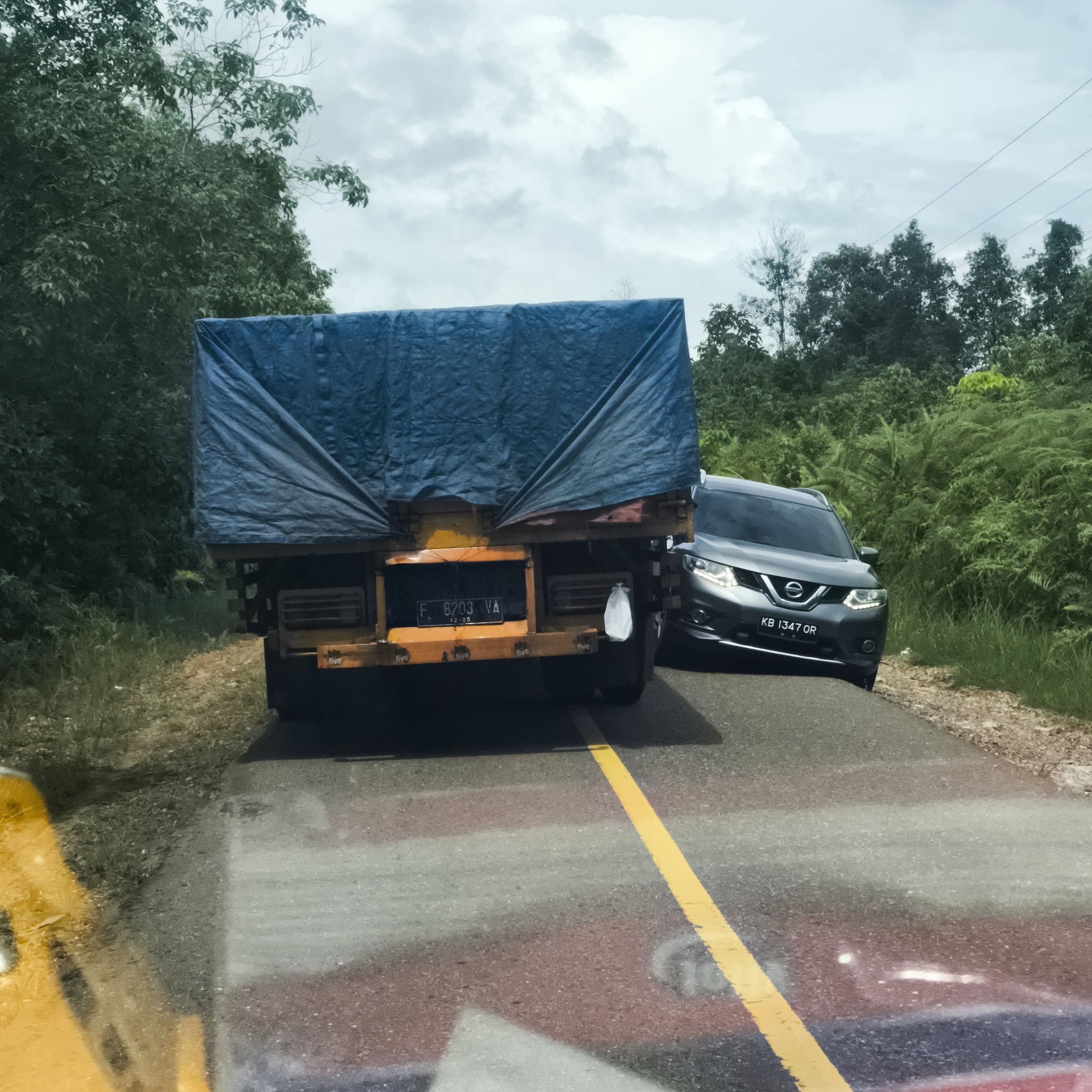 Melanesia Travel Diary. Indonesia. Day 142. Kalimantan - My, Drive, Travels, Informative, Around the world, Hitch-hiking, Life stories, Diary, Indonesia, Kalimantan, Religion, Video, Longpost