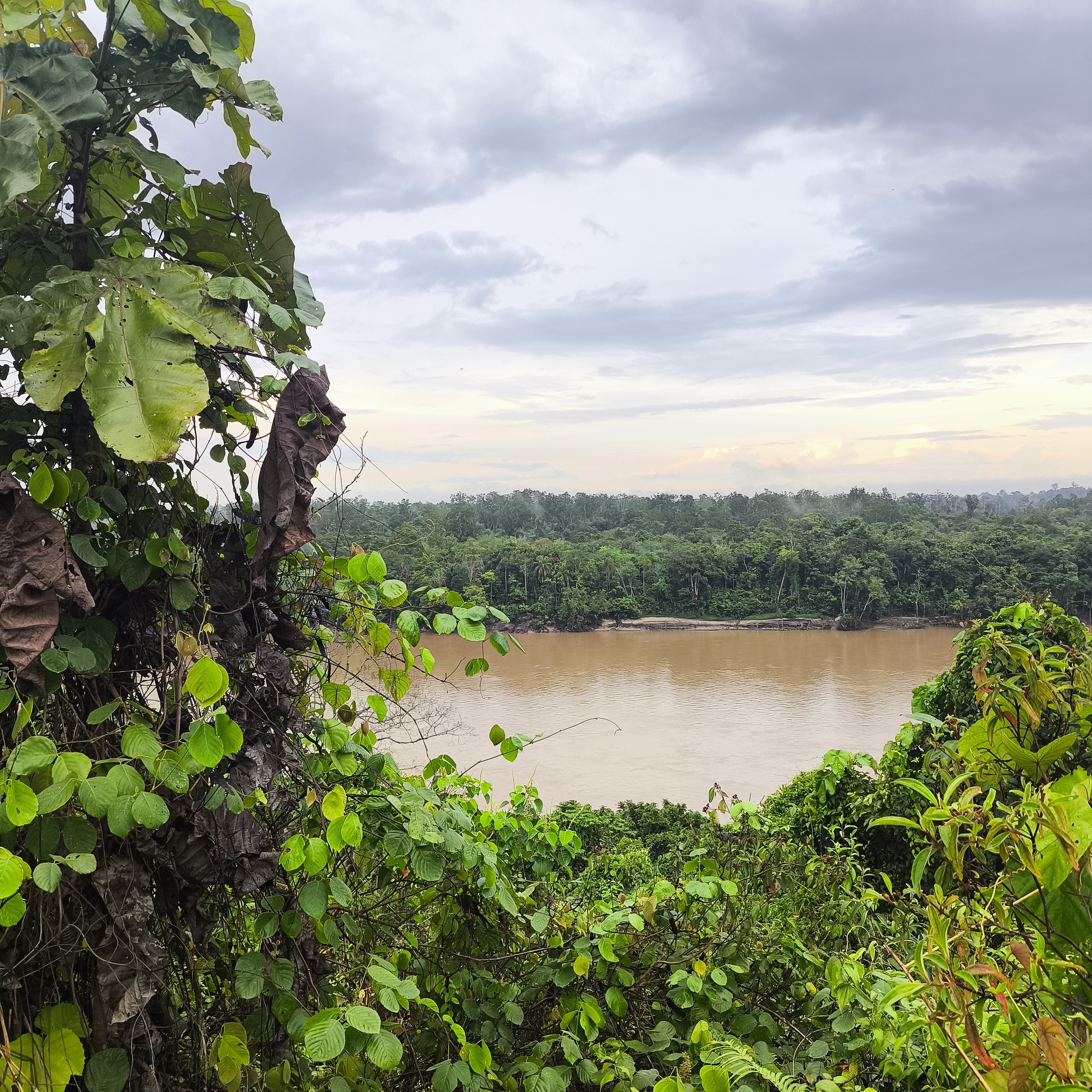 Melanesia Travel Diary. Indonesia. Day 142. Kalimantan - My, Drive, Travels, Informative, Around the world, Hitch-hiking, Life stories, Diary, Indonesia, Kalimantan, Religion, Video, Longpost