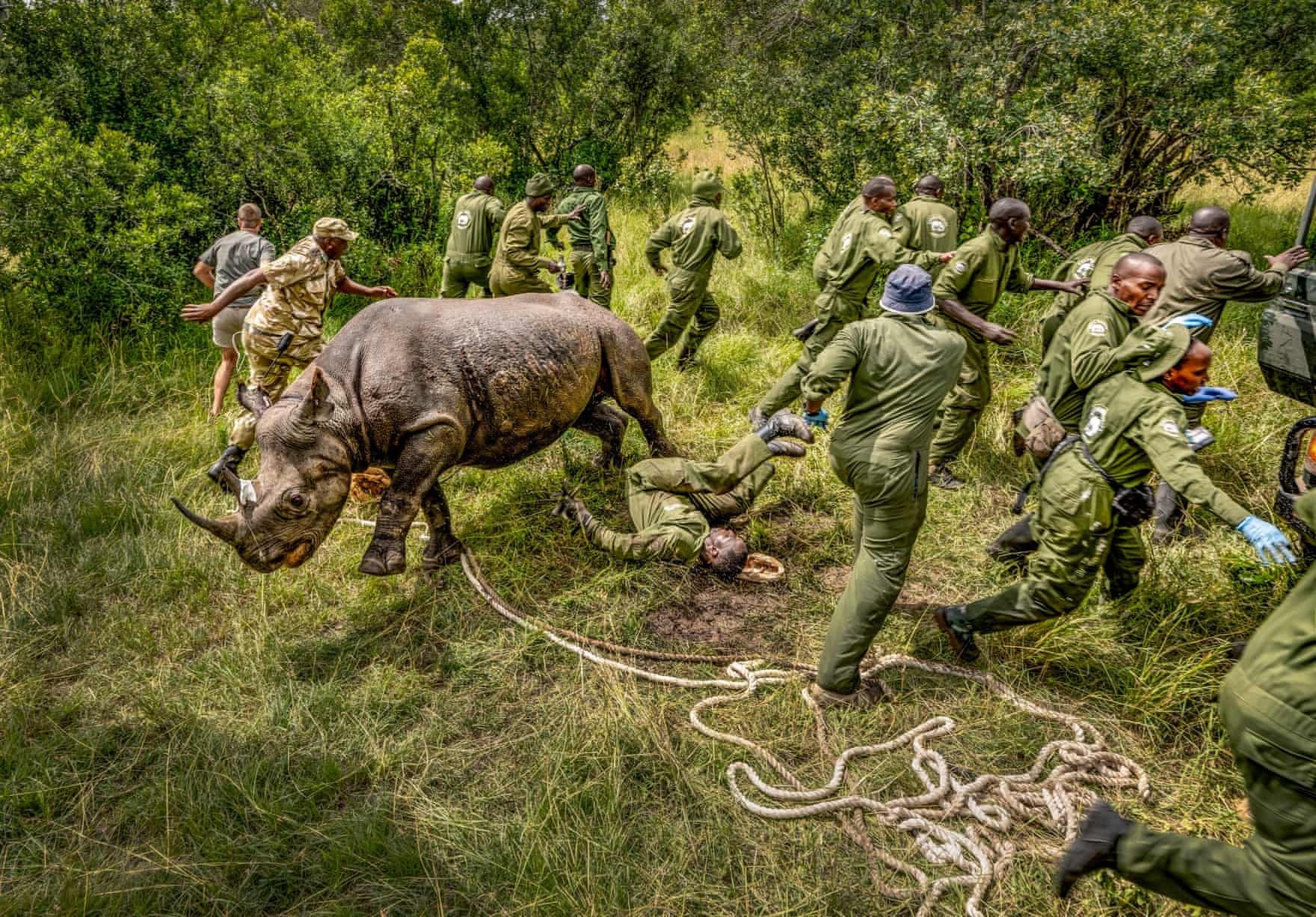 Royal Photographic Society 2024 Honorary Fellowship to Ami Vitale - Africa, The photo, Reserves and sanctuaries, Prize