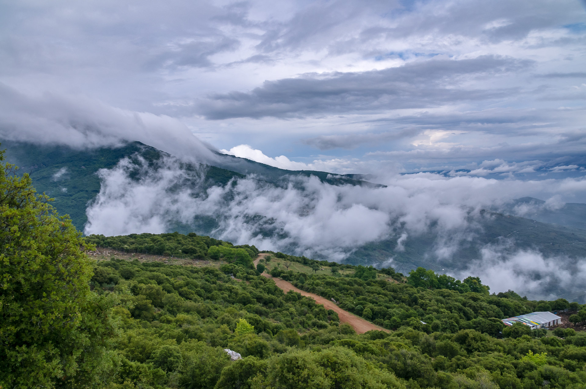 Where the clouds are born... Pelion. Greece - My, Greece, Height, Clouds, Forest, Longpost