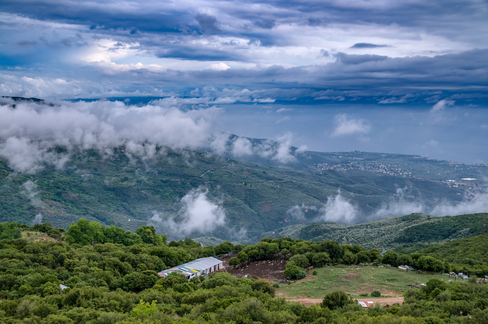 Where the clouds are born... Pelion. Greece - My, Greece, Height, Clouds, Forest, Longpost