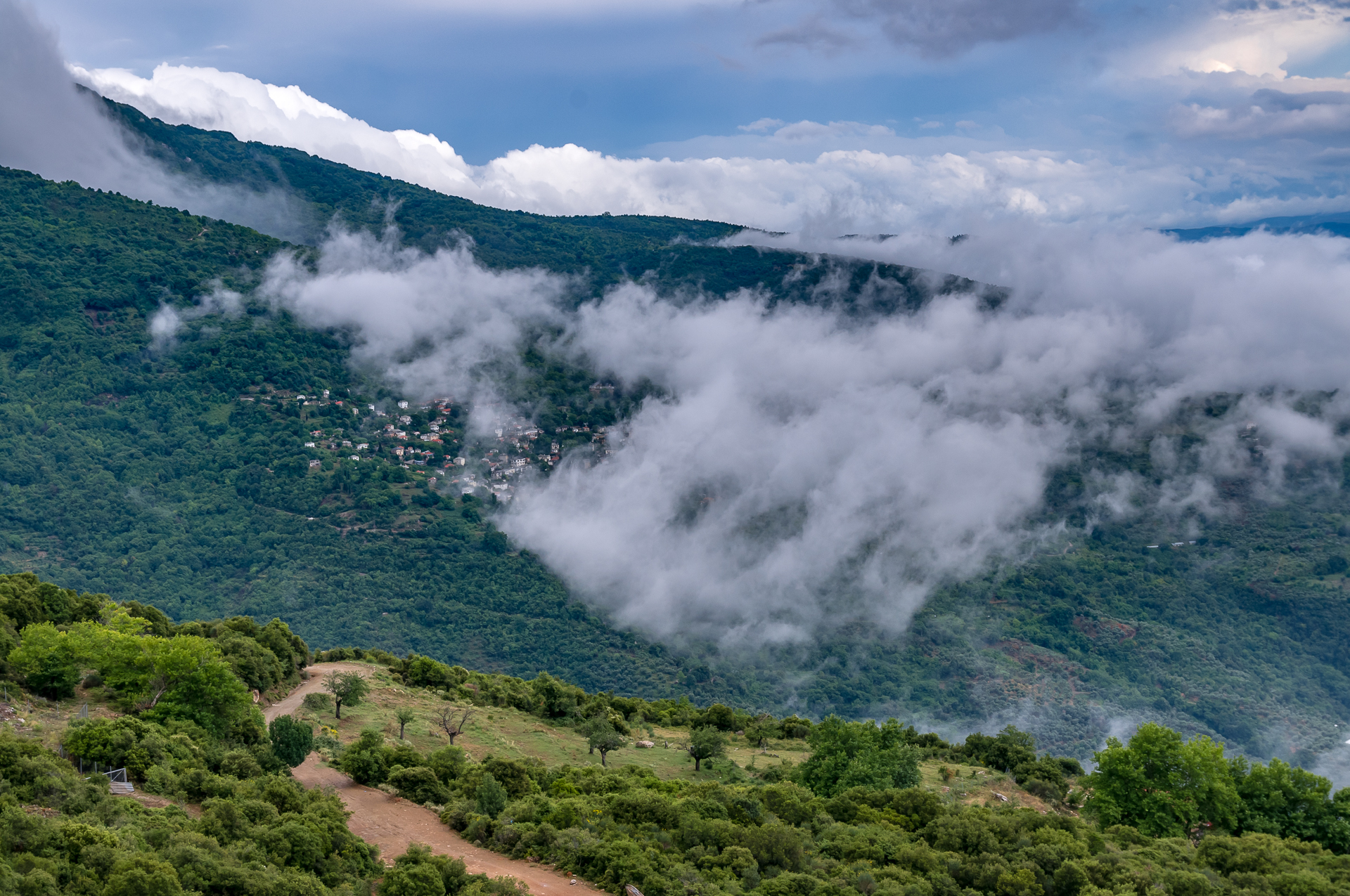 Where the clouds are born... Pelion. Greece - My, Greece, Height, Clouds, Forest, Longpost