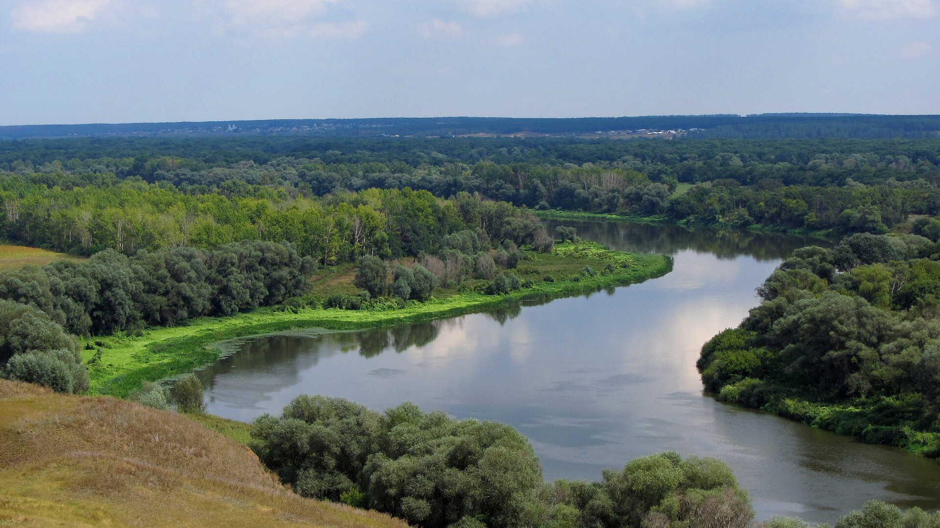 The Bend of the Don - My, The photo, Nature, Landscape, Summer, River