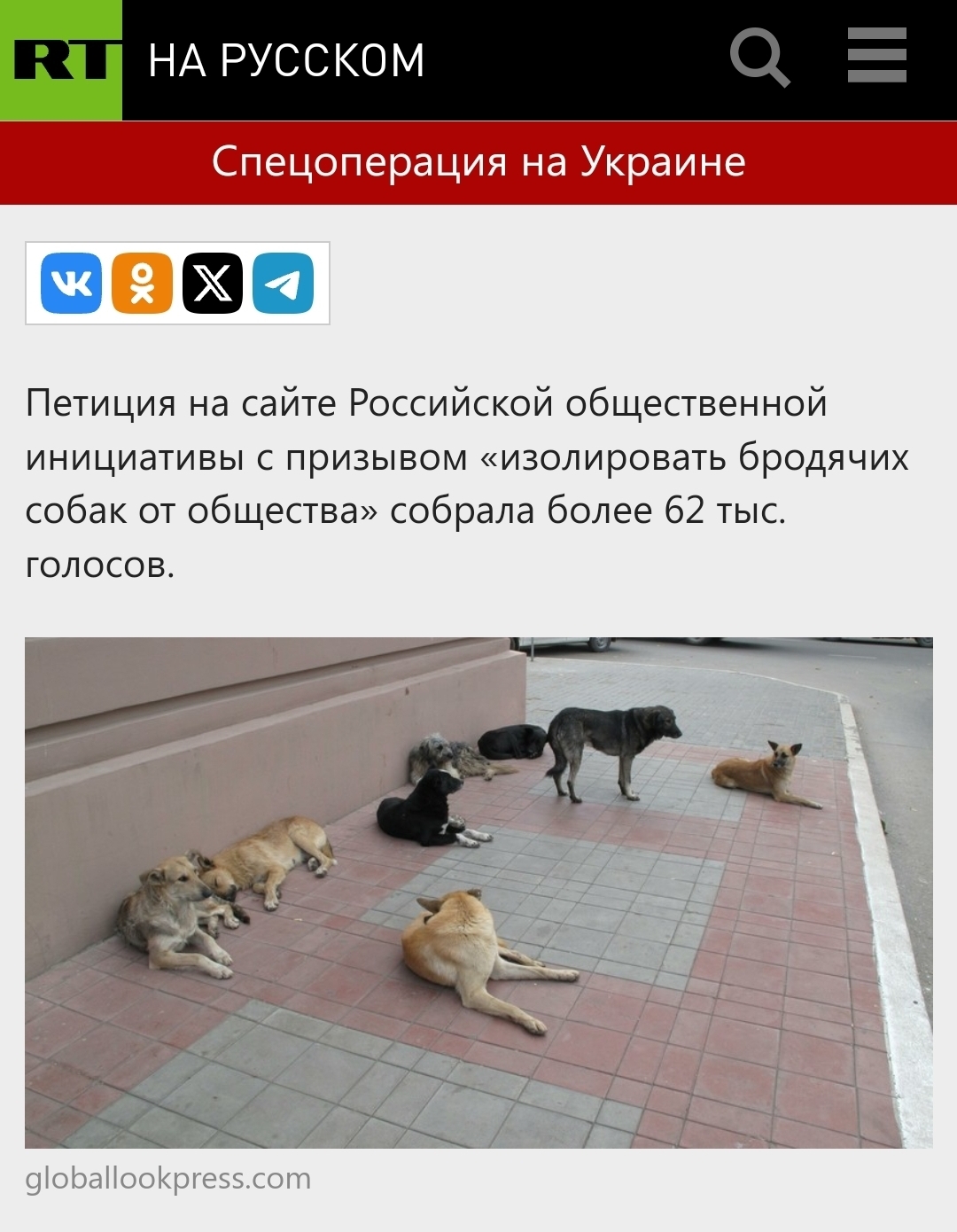 Create a petition for legal destruction of aggressive dogs by citizens with video evidence of aggression and destruction? Who is for it? - Stray dogs, Safety, Dog attack, Longpost, Петиция