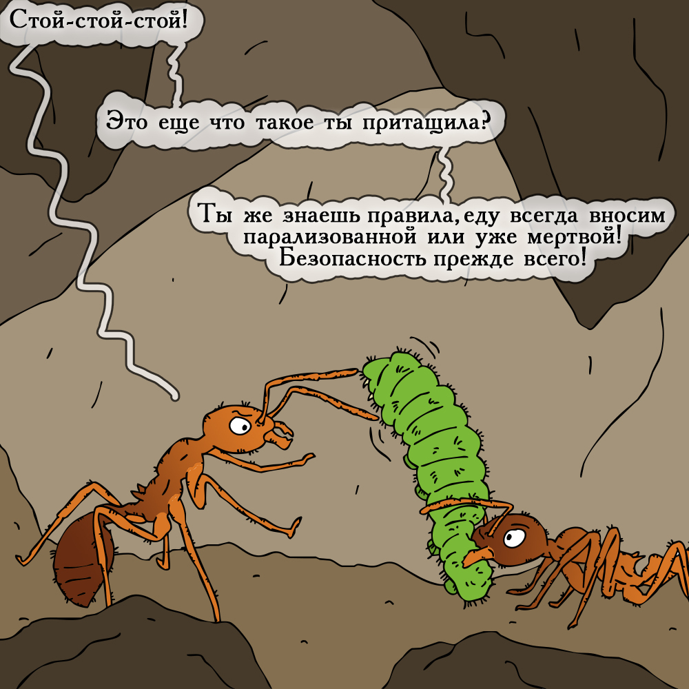 An unexpected find - My, Insects, Comics, Humor, Myrmikiper, Ants, Longpost, Author's comic