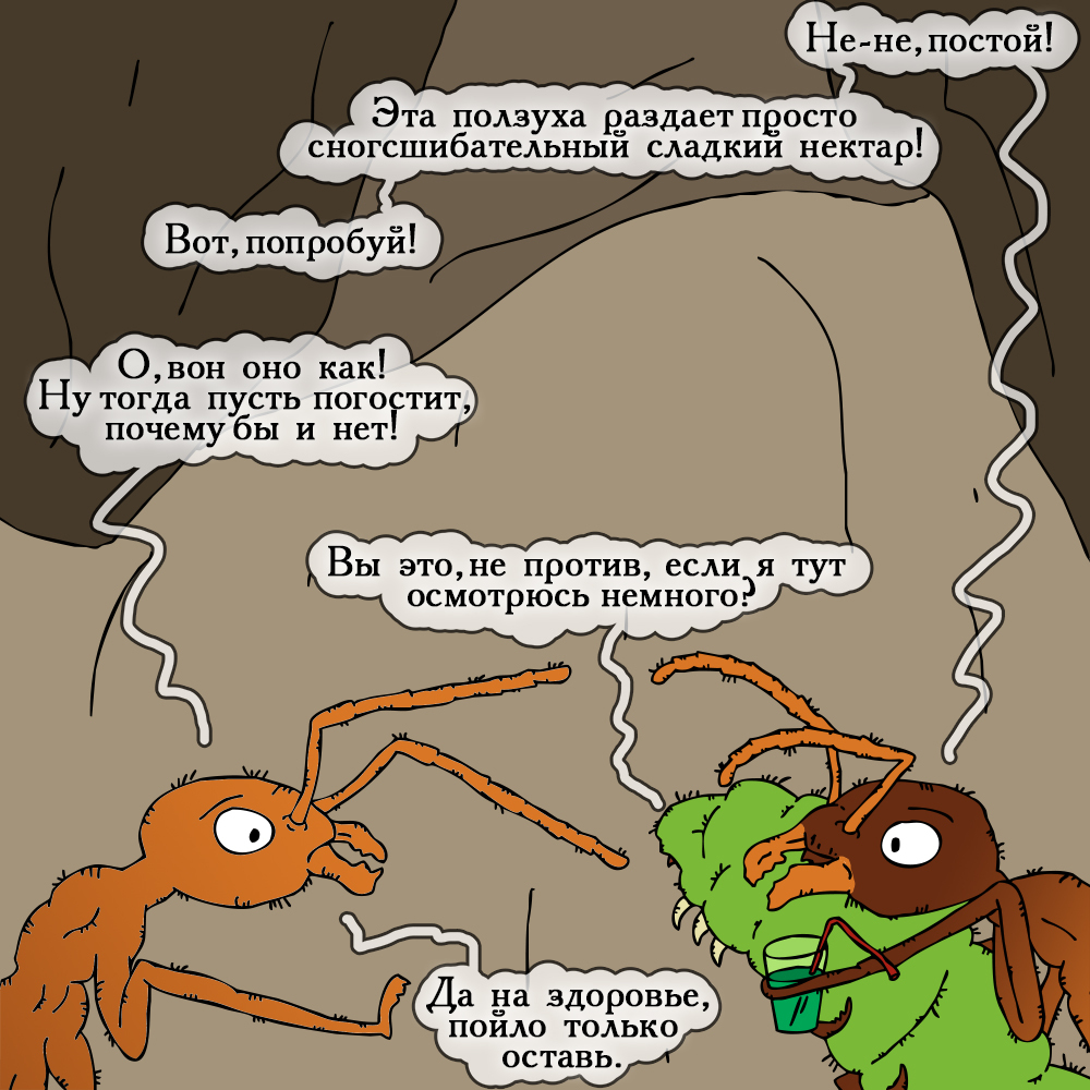 An unexpected find - My, Insects, Comics, Humor, Myrmikiper, Ants, Longpost, Author's comic