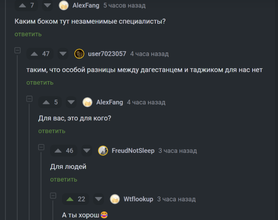 Разговор у телевизора - Скриншот, Ответ на пост, Пикабу, Жизнь, Справедливость, Правда, Мигранты, Виталий Милонов, Комментарии на Пикабу