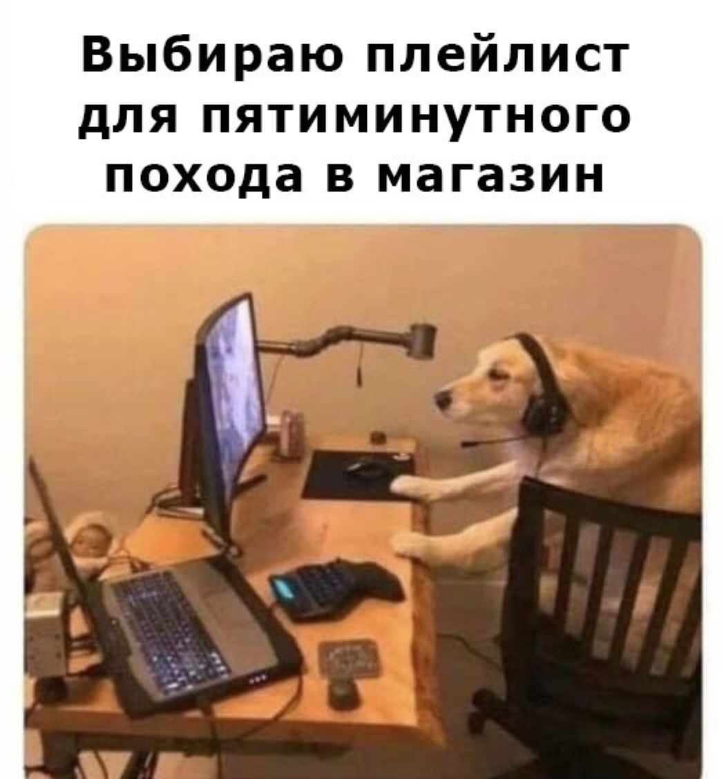 Собака за компьютером мем