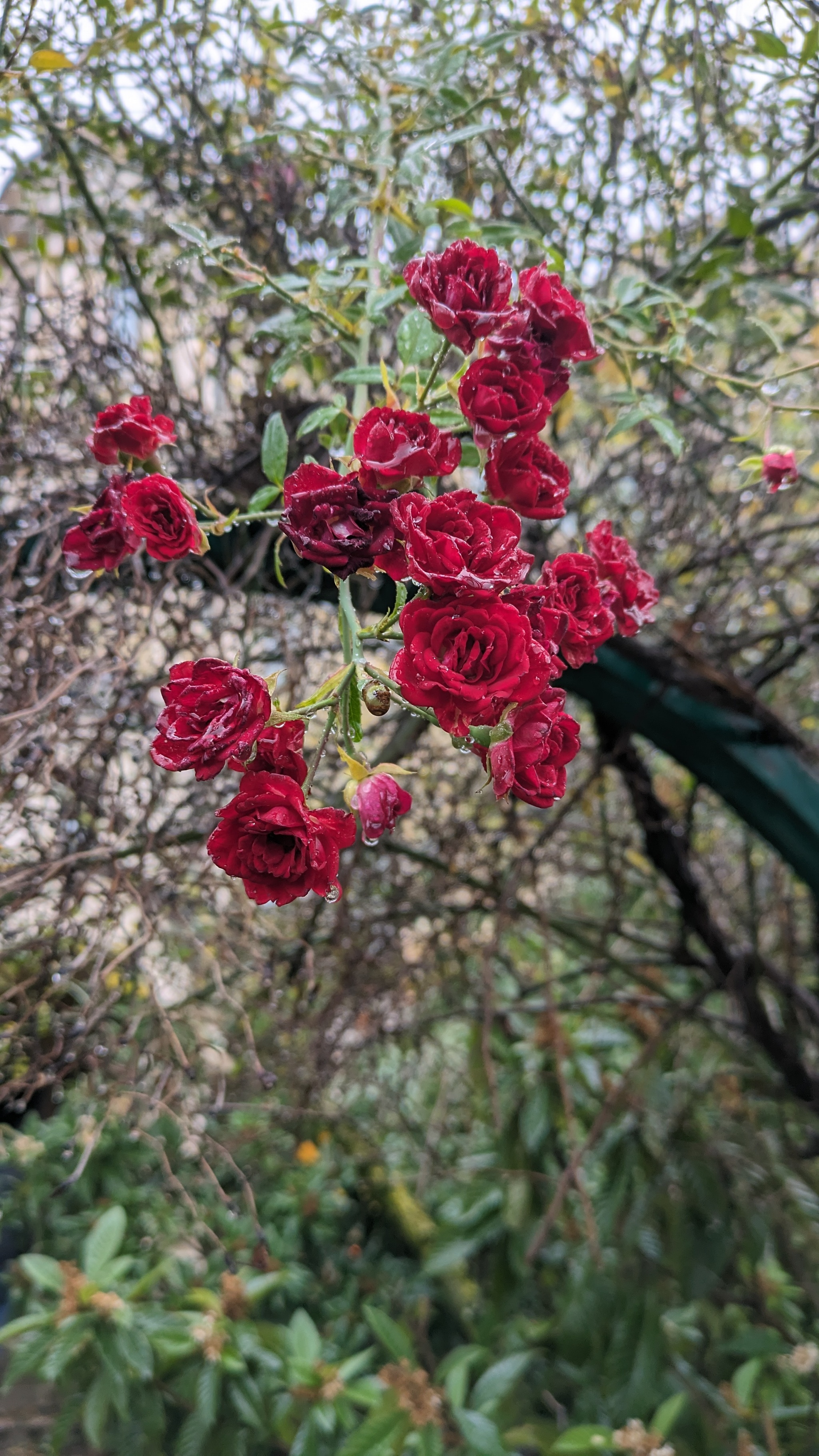 Sochi November 30, 2023 - My, The photo, Google pixel smartphone, Pixel, Google, Sochi, Temple, Russian Railways, Cities of Russia, The park, Amusement park, sights, Travel across Russia, Building, Longpost