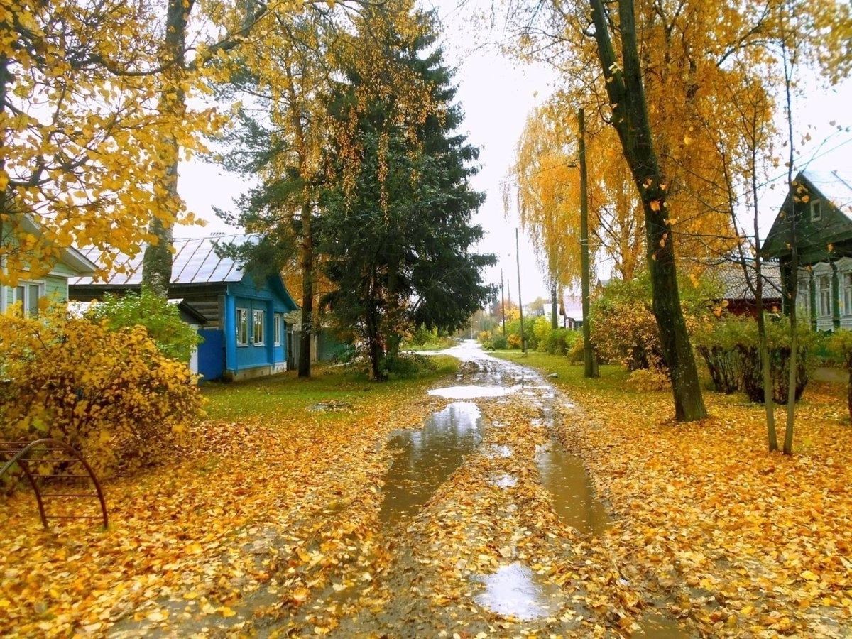 Осень в деревне - Осень, Деревня, Фотография