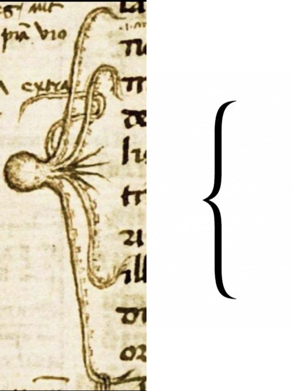 In short, a bracket - Humor, Parentheses, Octopus, Suffering middle ages, Manuscript