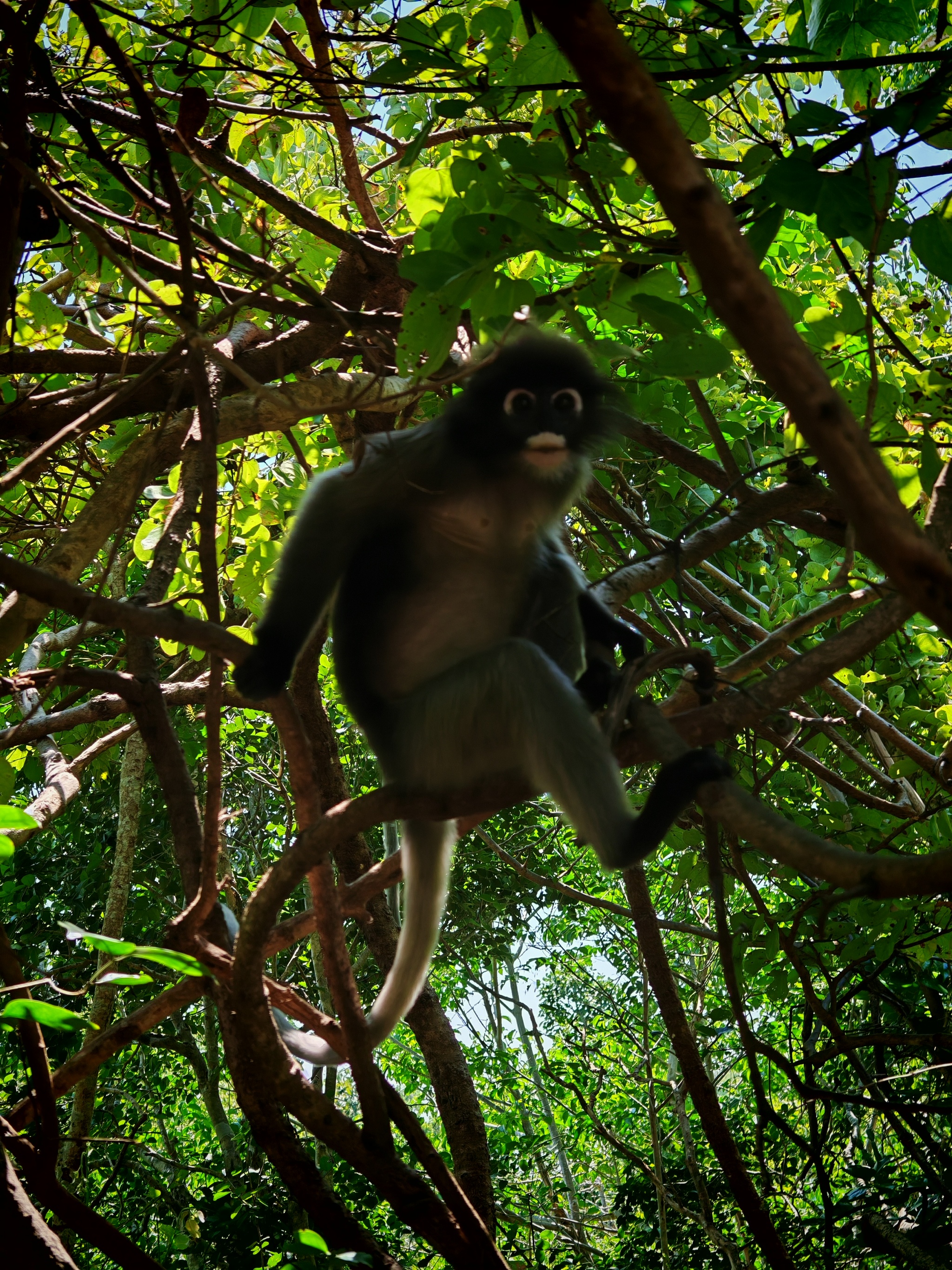 Khao Sam Roi Yot National Park - My, Thailand, Nature, The photo, National park, The mountains, Longpost