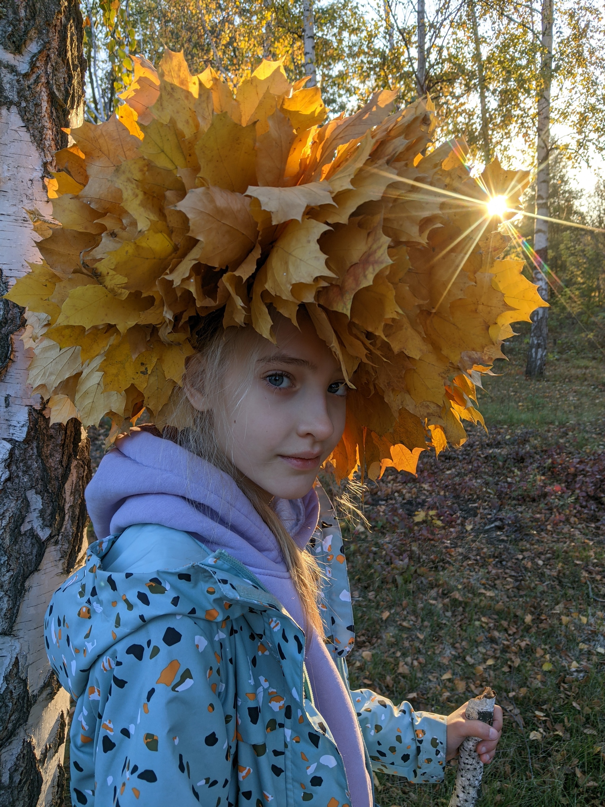 Autumn Crown - My, Mobile photography, Autumn, Autumn leaves, Sunset, Rostov-on-Don, Sun rays