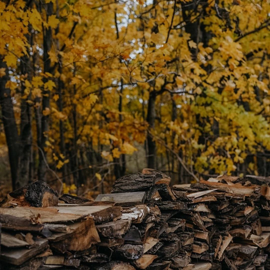 Nature is beautiful - Telegram (link), Nature, Animals, Autumn, Calmness, Appeasement, Thoughts, Beautiful view, Longpost