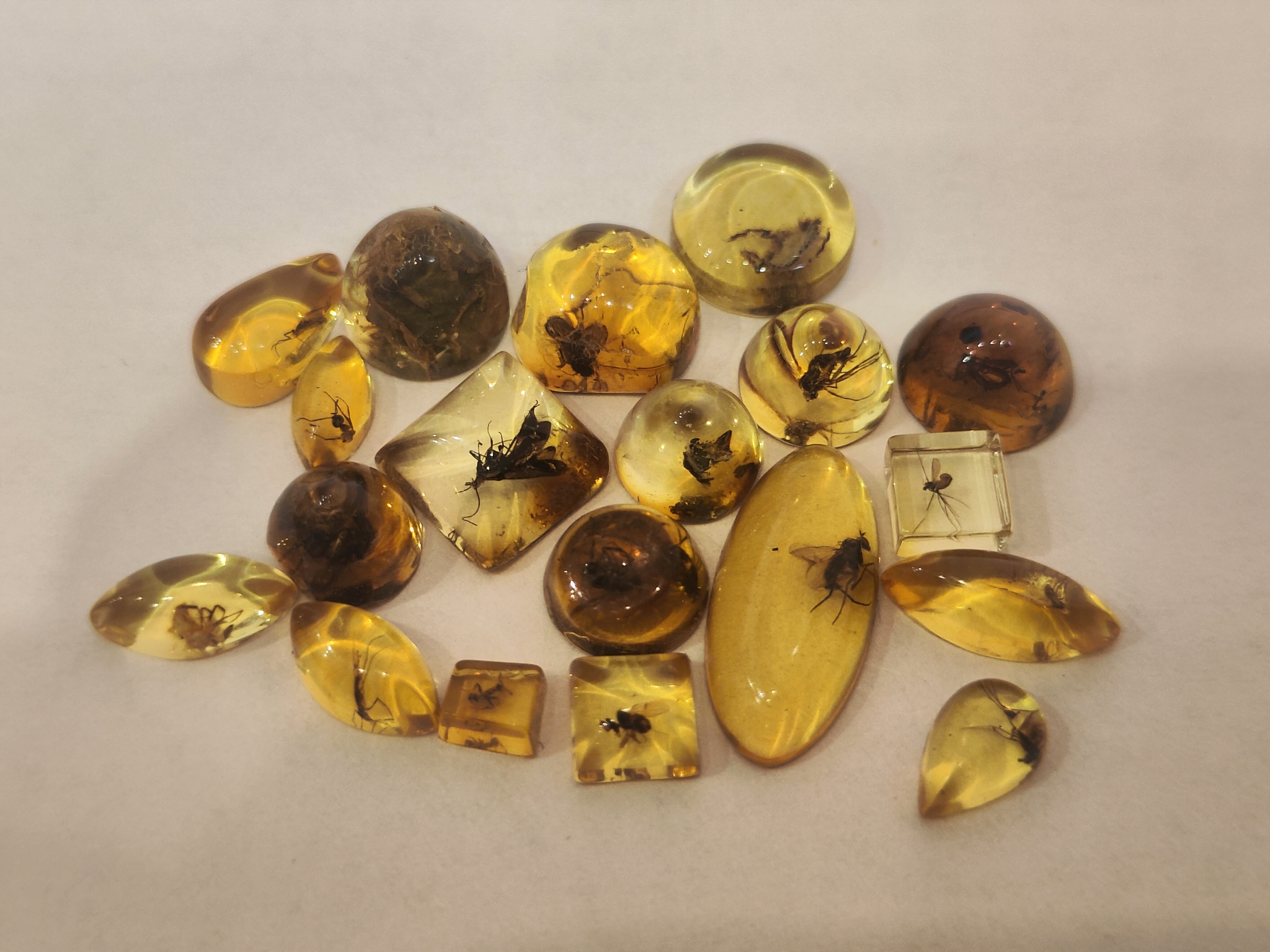 Inclusion in Amber (Part 1) - My, Amber, Inclusion, Insects, Macro photography, Longpost