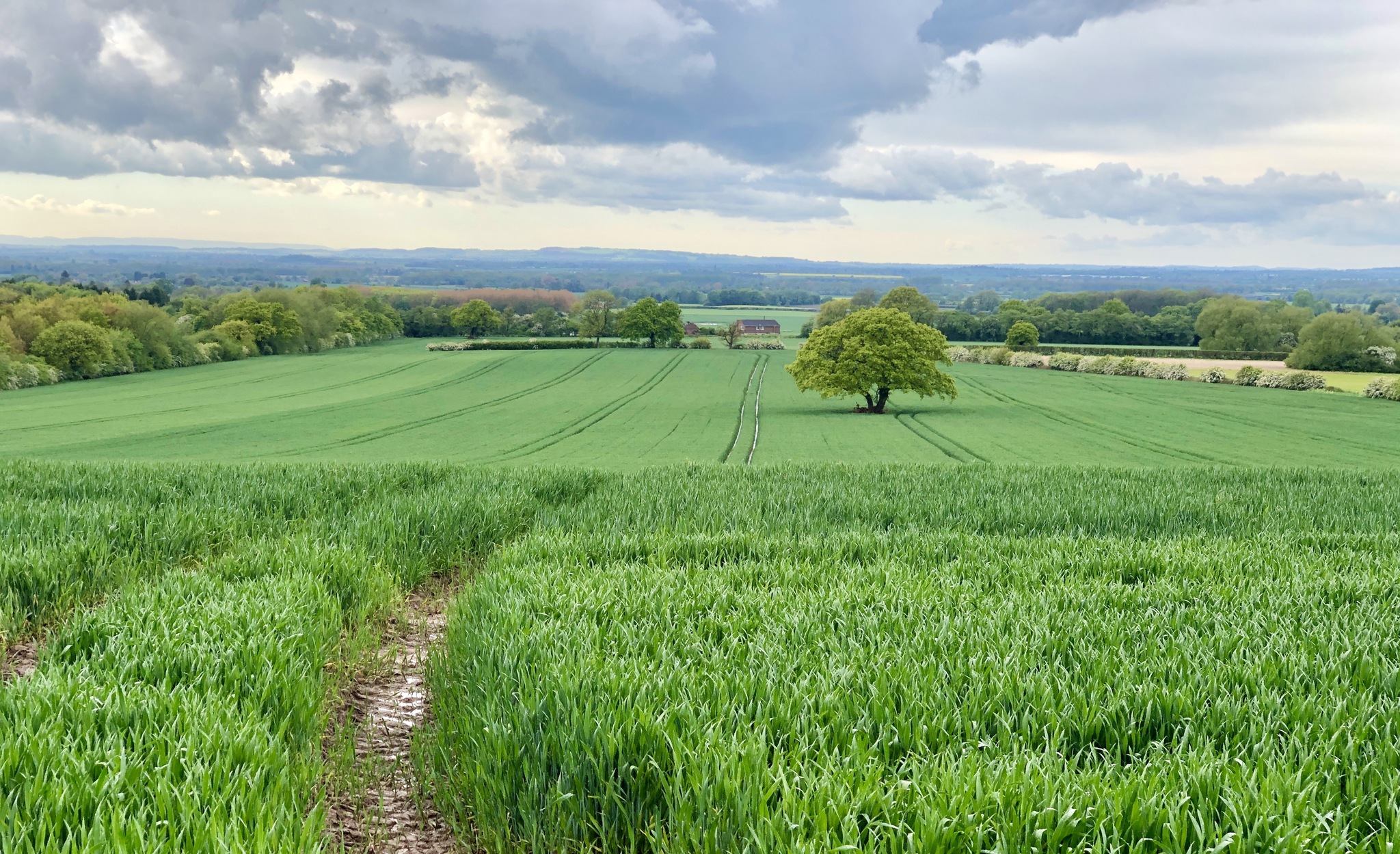 The difference between the photos is 3 months, England, Shropshire area - My, England, Mobile photography, Season