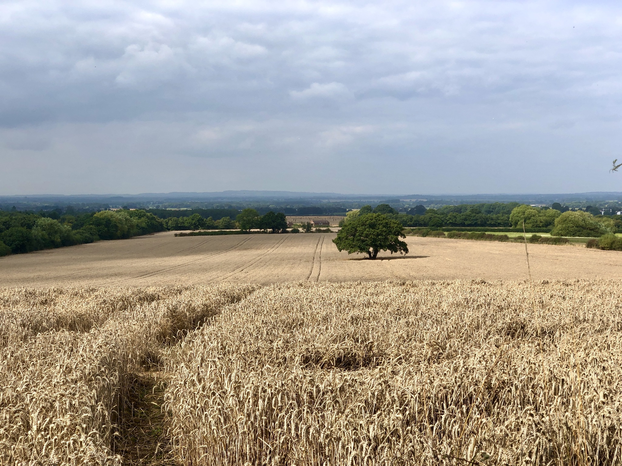 The difference between the photos is 3 months, England, Shropshire area - My, England, Mobile photography, Season