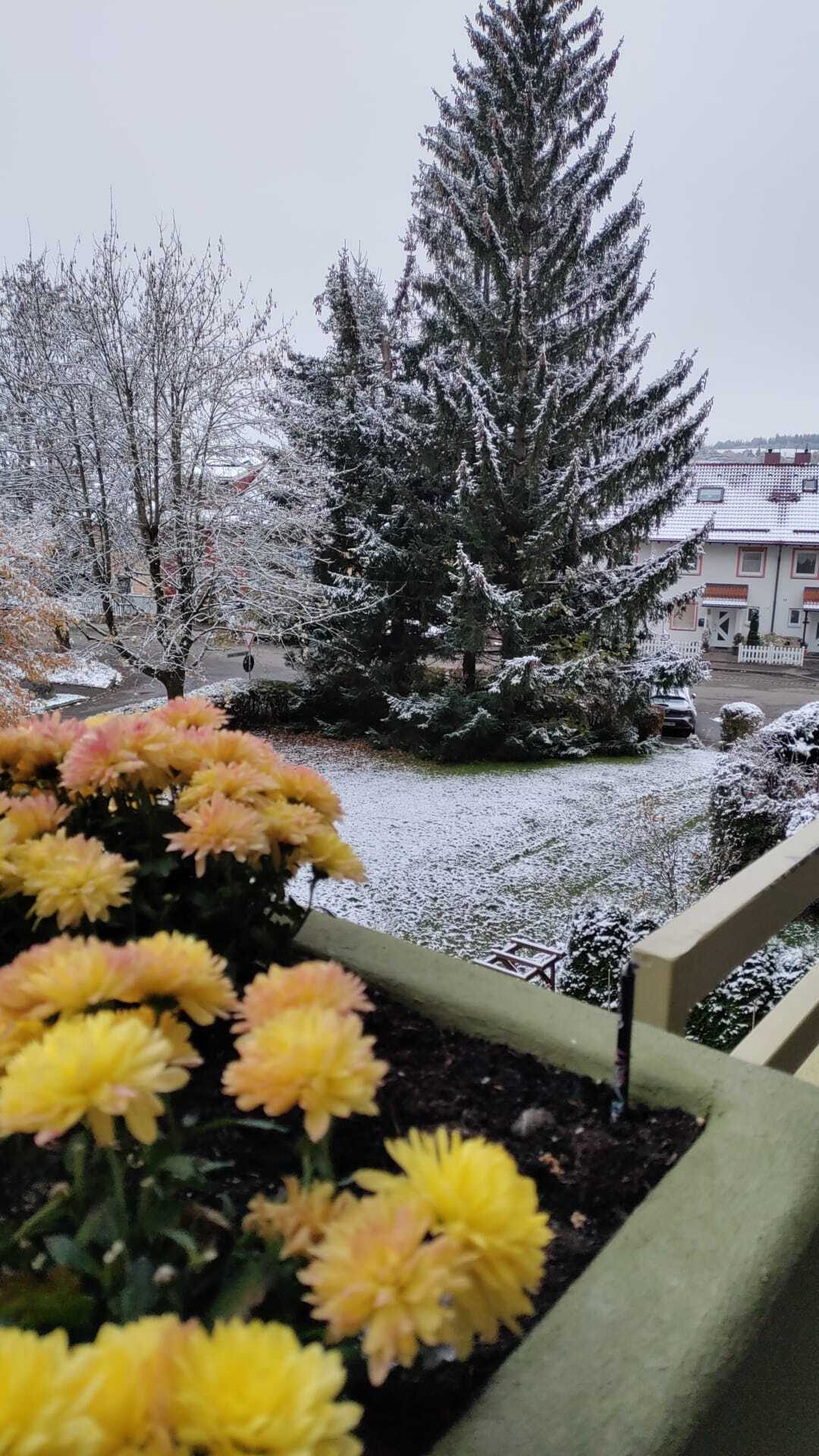 First snow - My, Snow, Bavaria, Alps, Germany