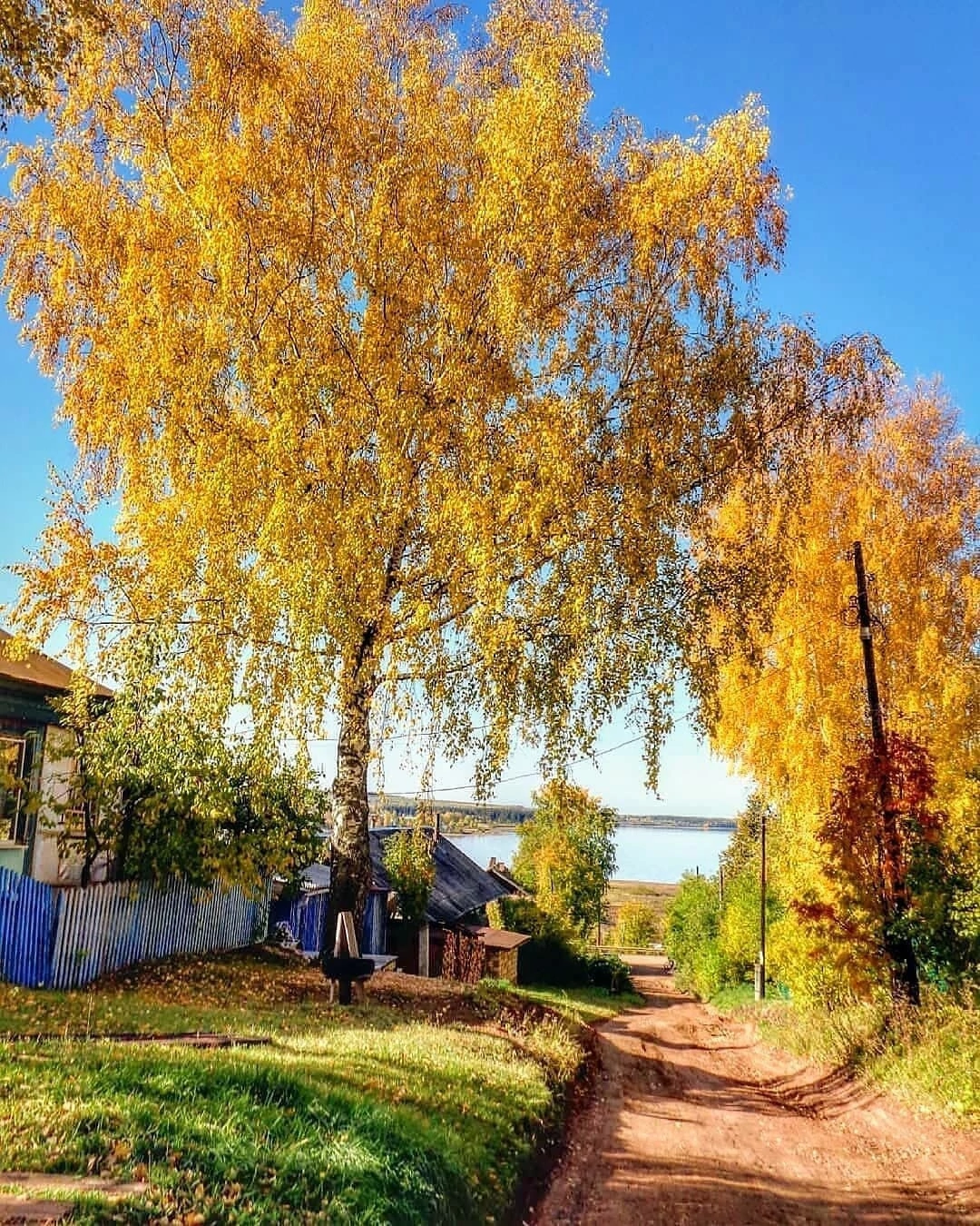 Golden autumn in Ilyinsky, Perm region - Autumn, The photo, Nature, Perm Territory