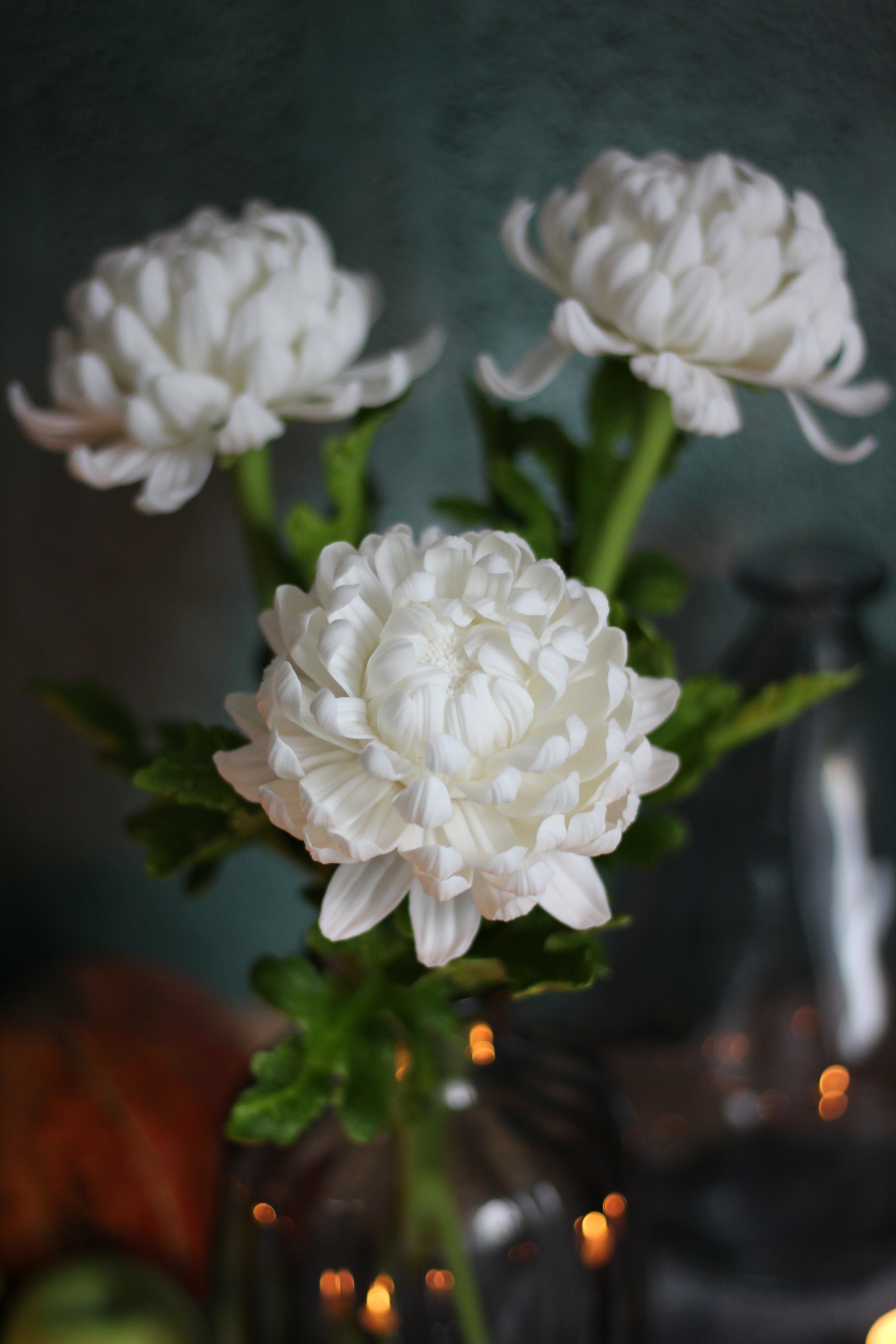 Chrysanthemums - My, Лепка, Flowers, Polymer clay, Needlework without process, Decor, Chrysanthemums, Autumn, Interior, Polymer floristry, Friday, Friday tag is mine, Longpost