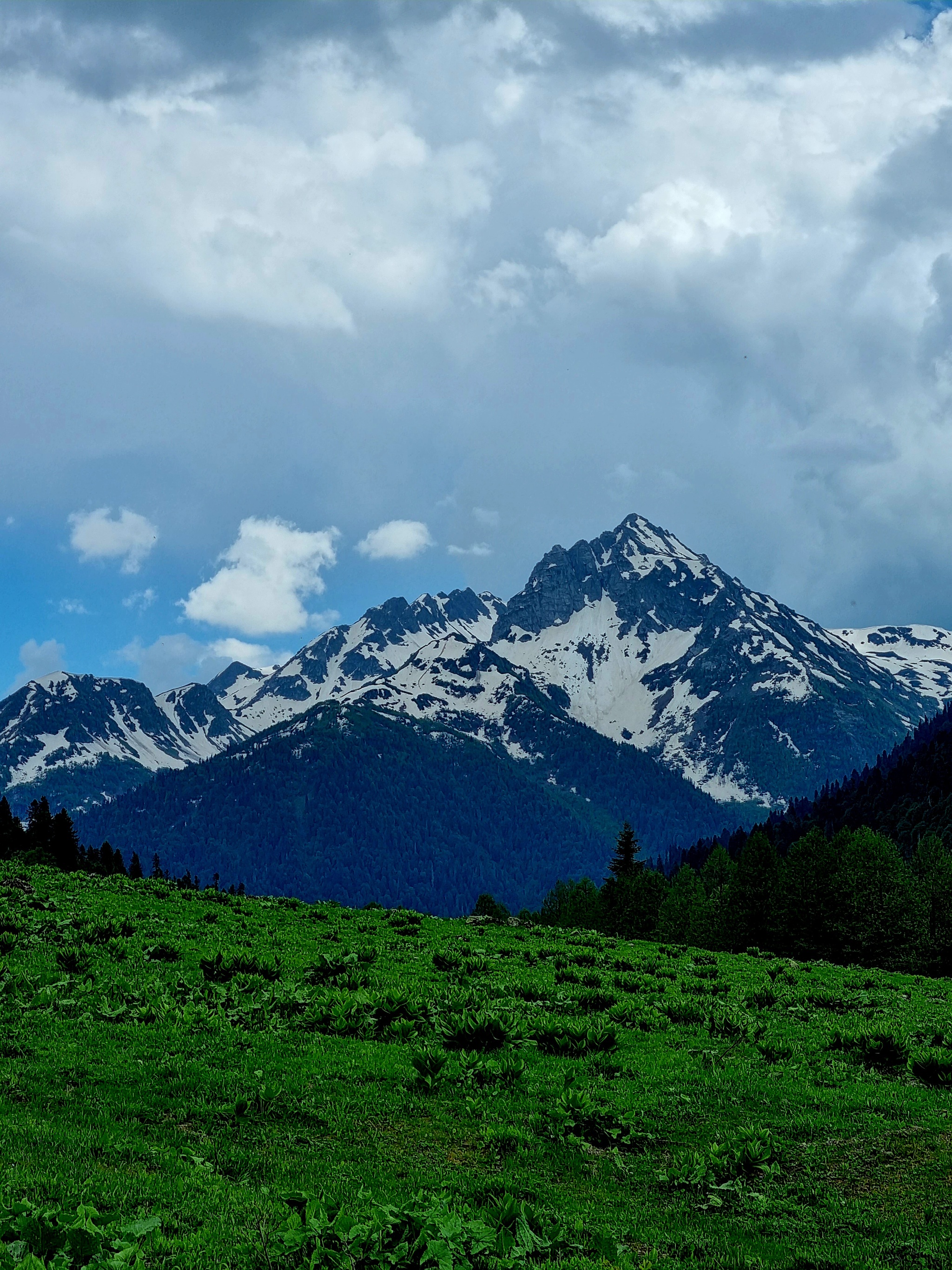 Abkhazia 2022 - My, Abkhazia, Travels, The mountains, Longpost