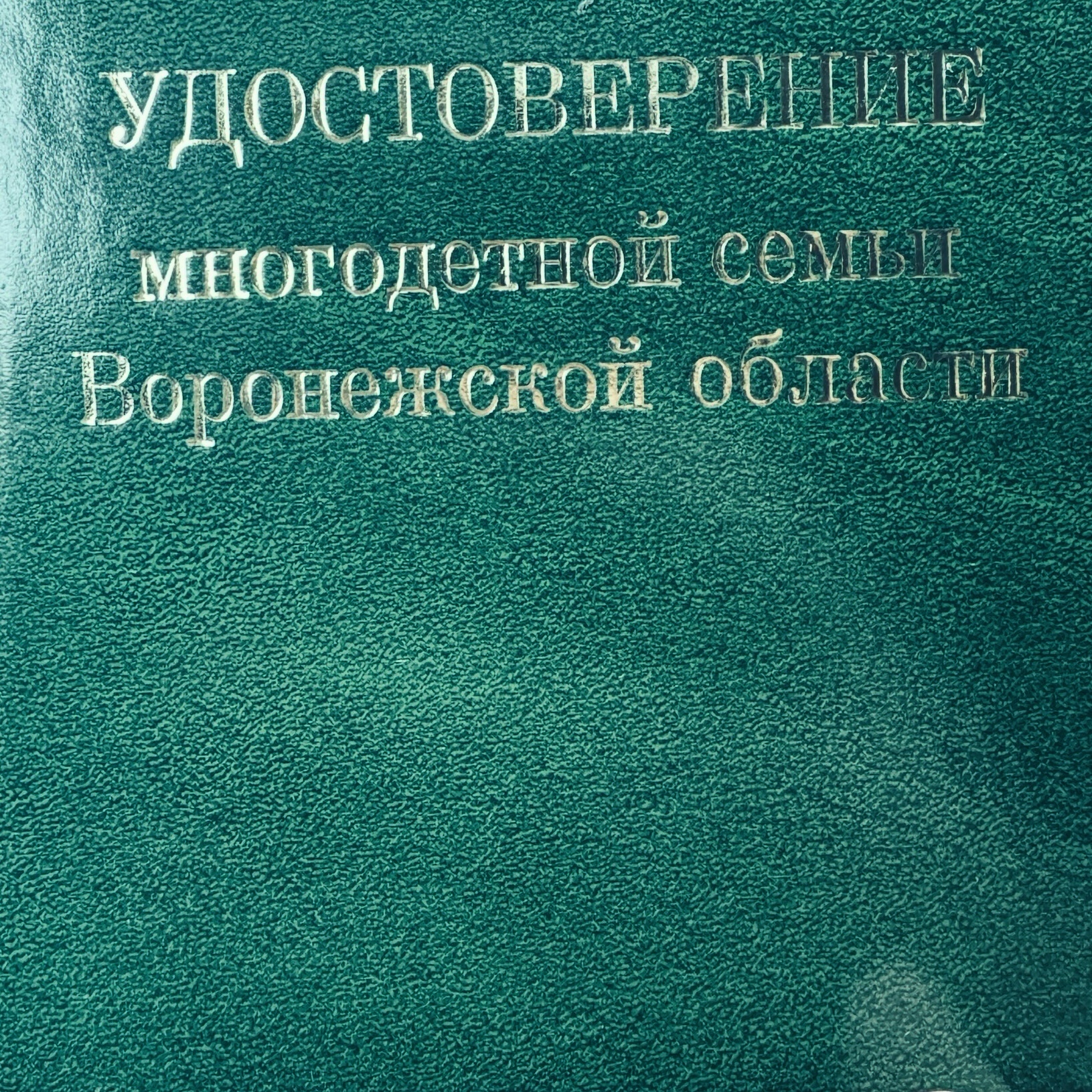 Спасибо  моя любимая - Моё, Дети, Любовь, Многодетная семья, Стихи, Рэп