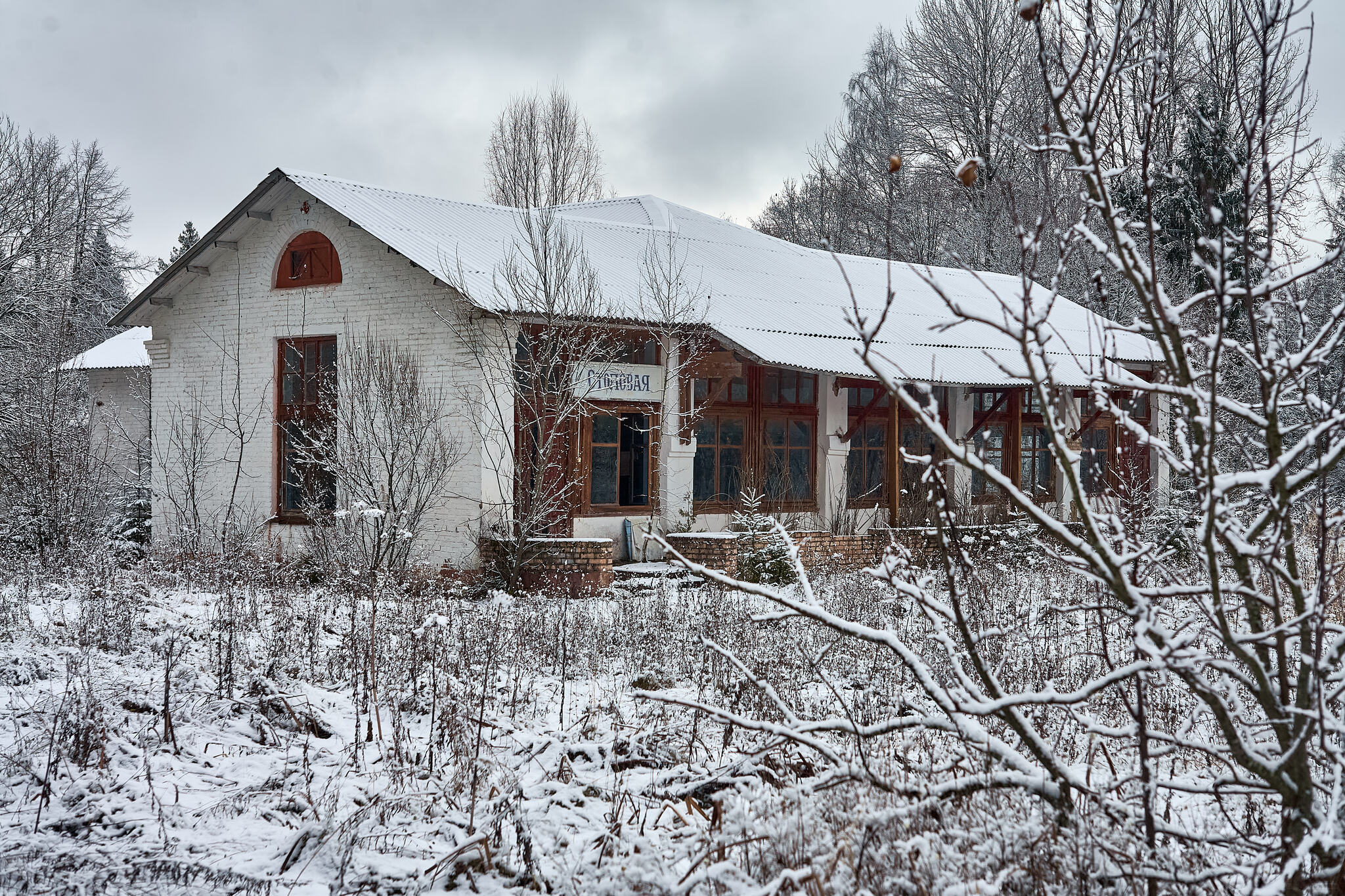 Photo walk through the abandoned building... - My, The photo, Landscape, The sun, Autumn, Beautiful view, Abandoned, Longpost, Russia