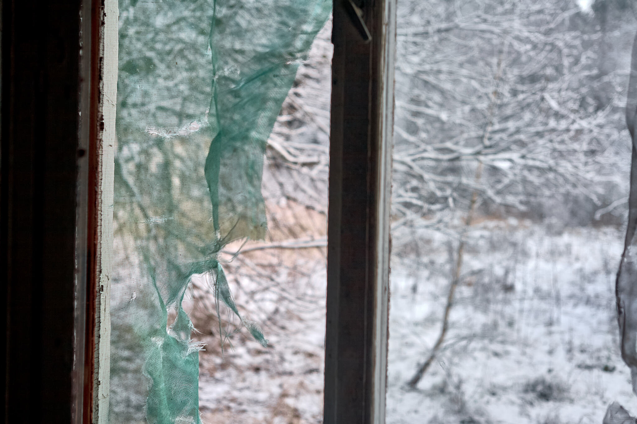 Photo walk through the abandoned building... - My, The photo, Landscape, The sun, Autumn, Beautiful view, Abandoned, Longpost, Russia