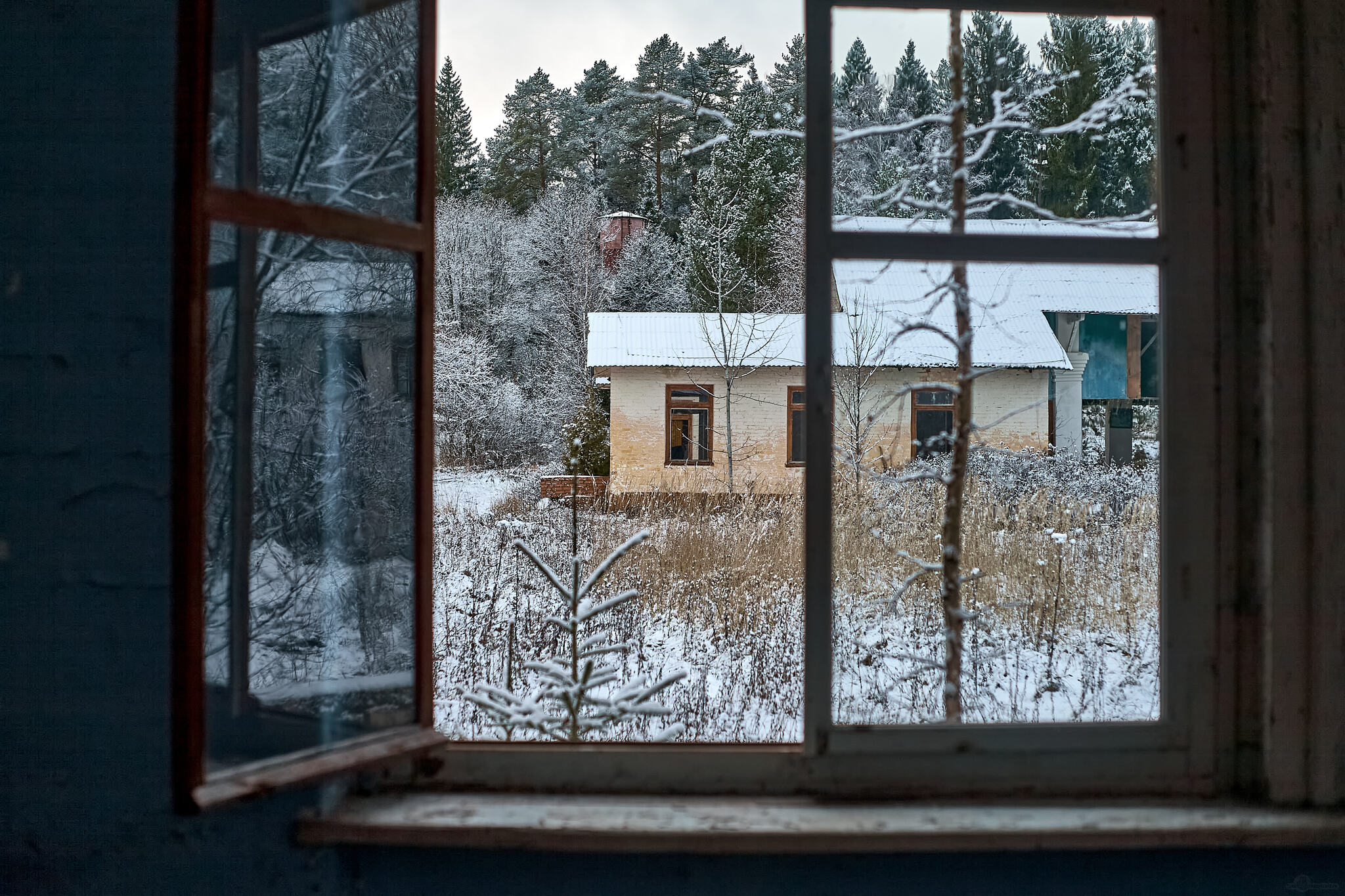 Photo walk through the abandoned building... - My, The photo, Landscape, The sun, Autumn, Beautiful view, Abandoned, Longpost, Russia