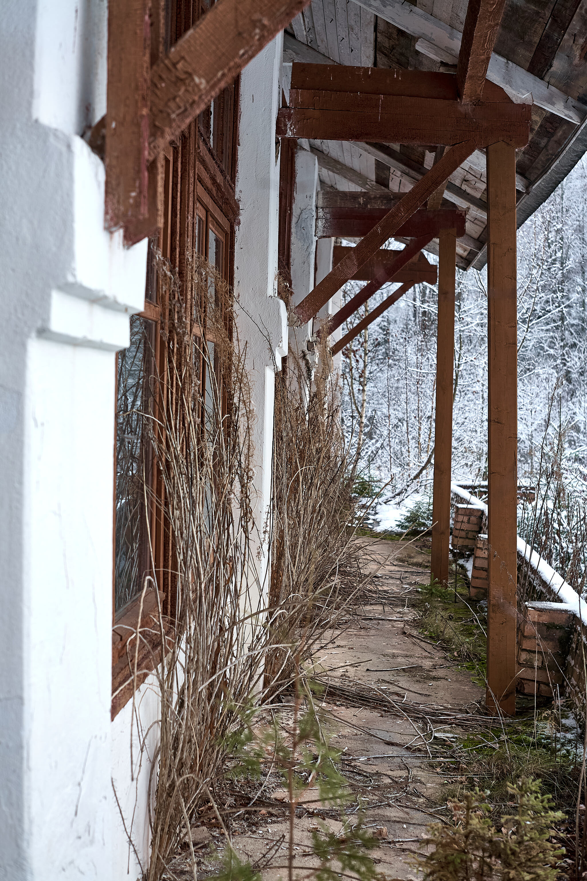 Photo walk through the abandoned building... - My, The photo, Landscape, The sun, Autumn, Beautiful view, Abandoned, Longpost, Russia