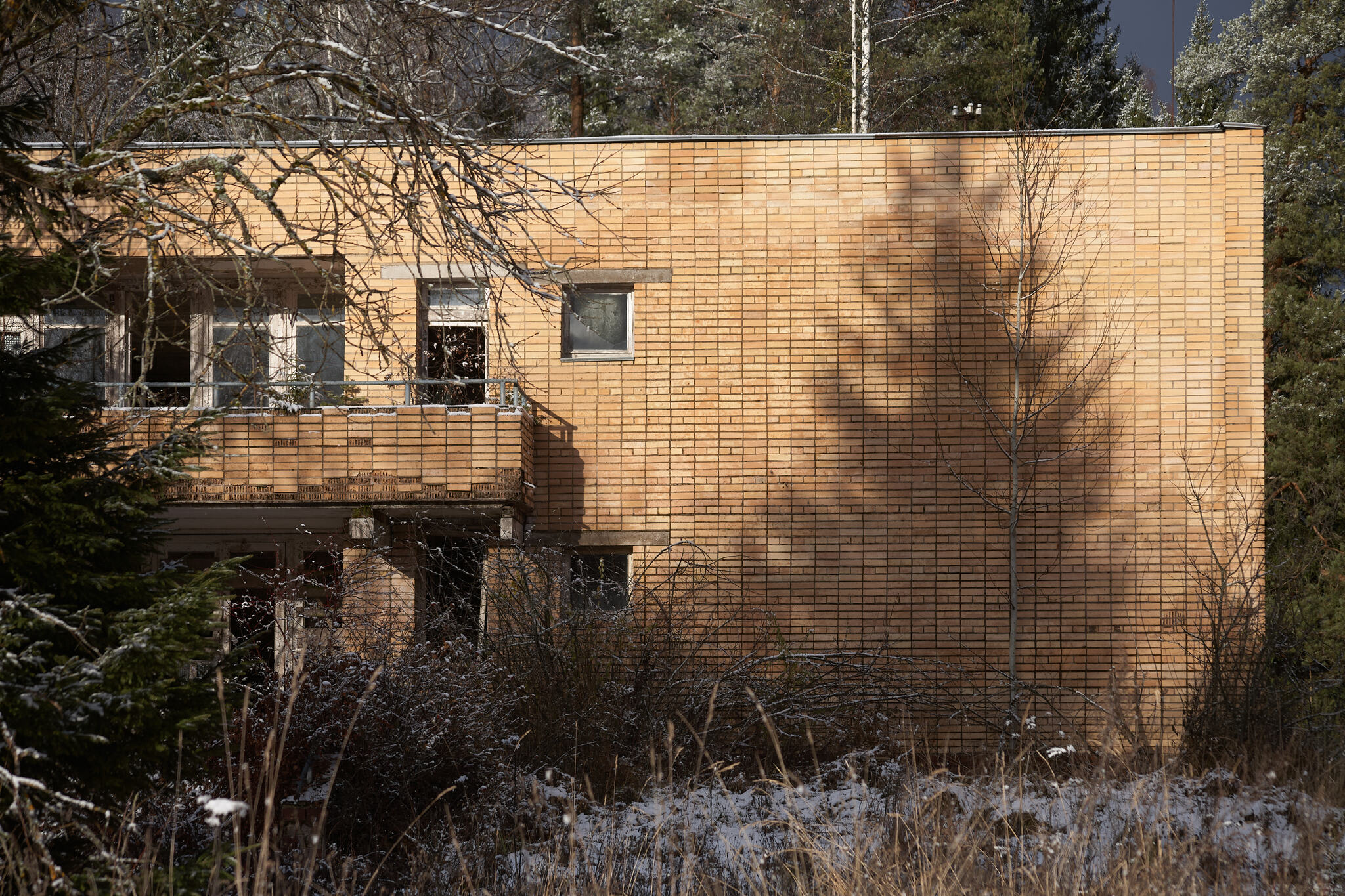 Photo walk through the abandoned building... - My, The photo, Landscape, The sun, Autumn, Beautiful view, Abandoned, Longpost, Russia