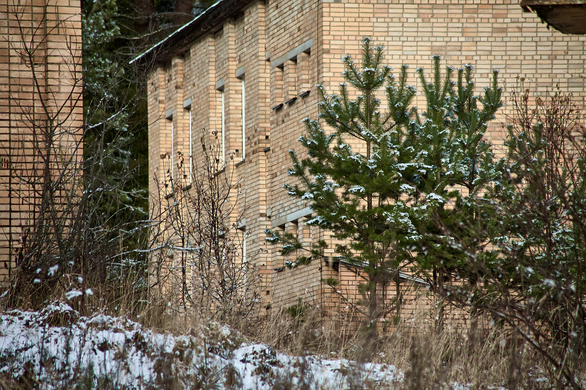 Photo walk through the abandoned building... - My, The photo, Landscape, The sun, Autumn, Beautiful view, Abandoned, Longpost, Russia