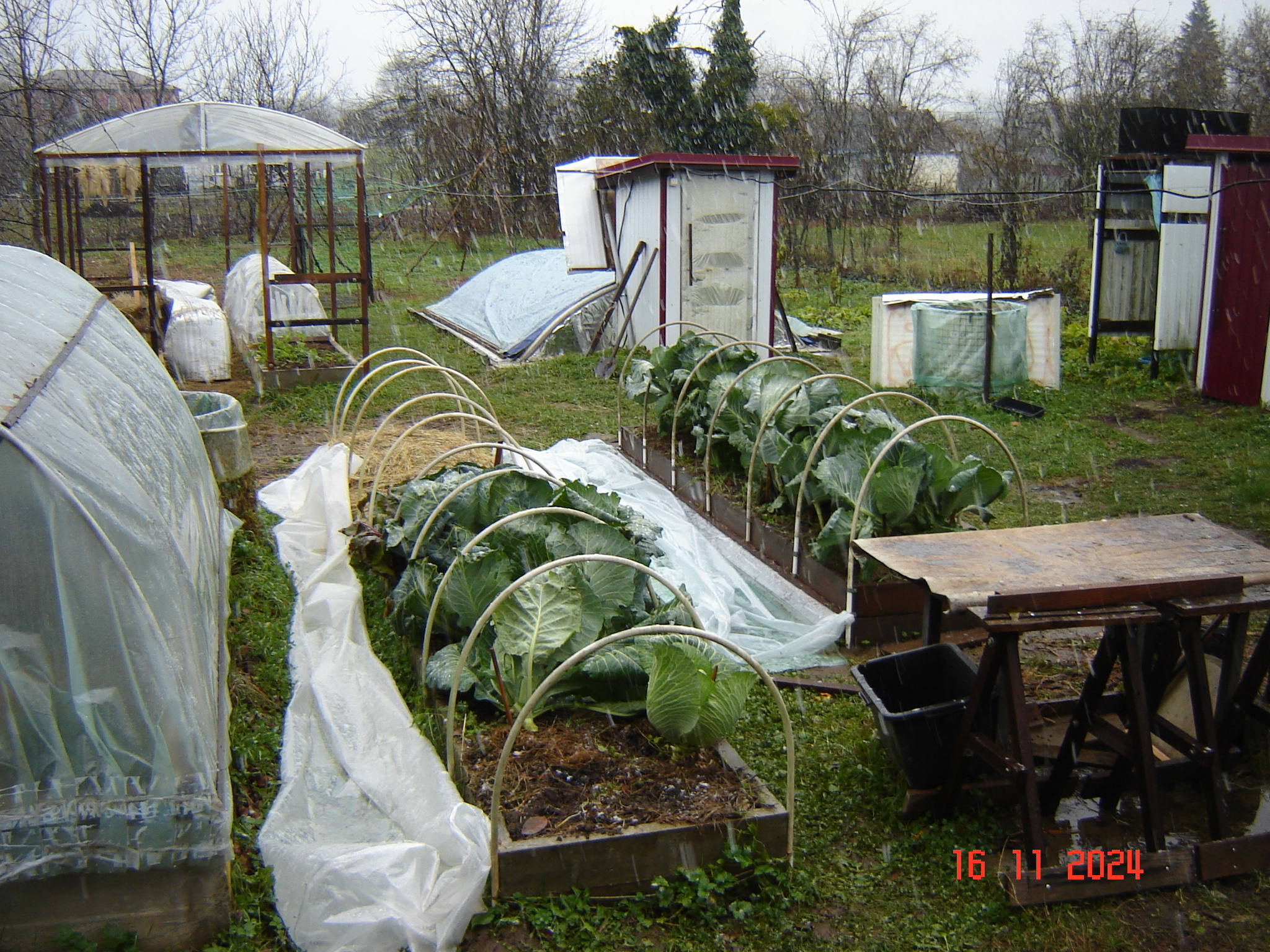 First snow and work in the year-round greenhouse - My, Краснодарский Край, Underground greenhouse, Krasnodar, Longpost